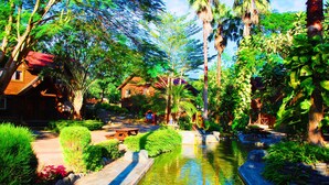 A serene garden with a pond, wooden house, and lush greenery. - Master Bear Resort (Beinan)
