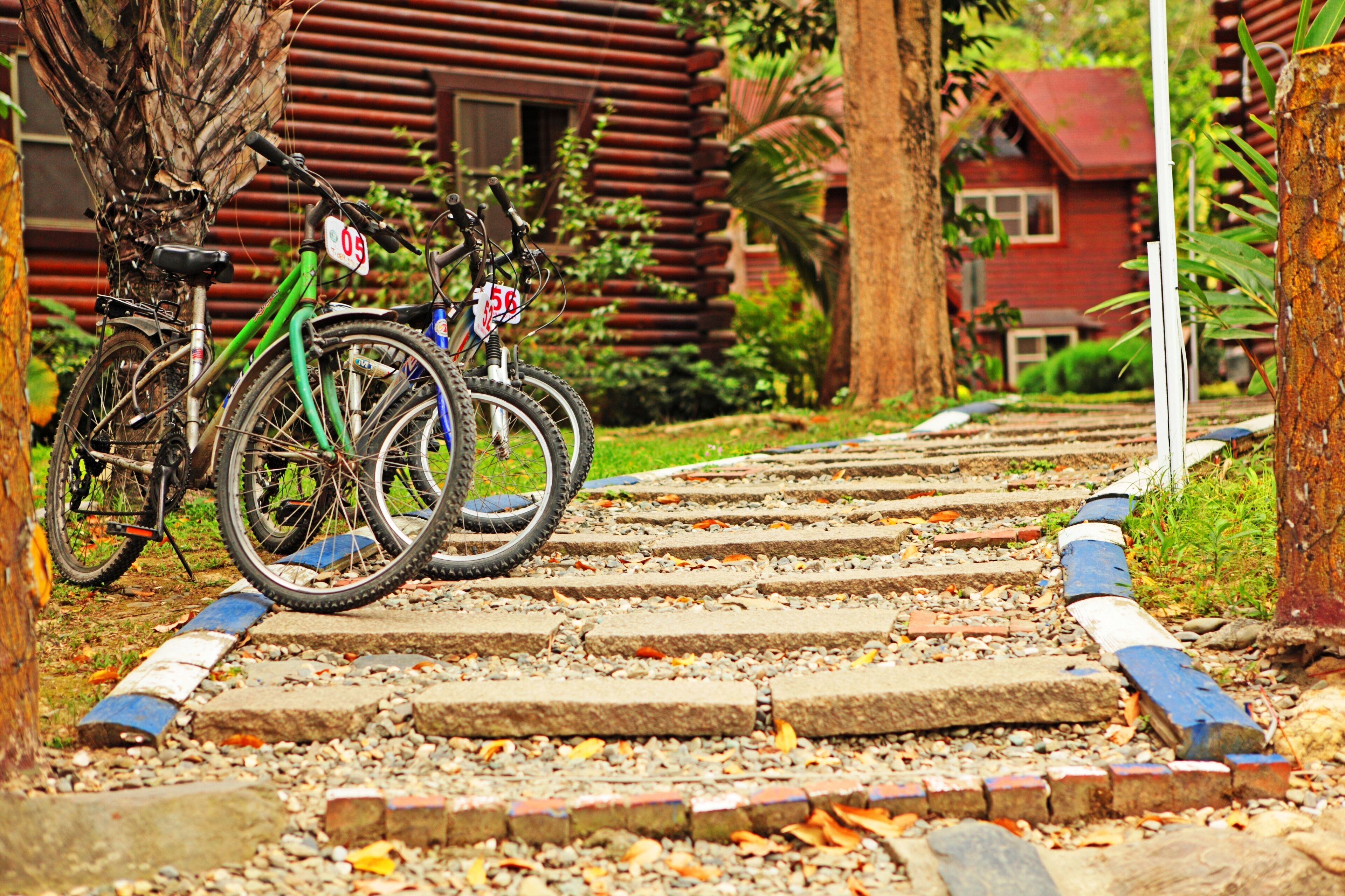 A pathway leading to a wooden cabin with bicycles parked nearby.