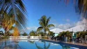 Hồ bơi ngoài trời, dù/ô trên bãi biển/hồ bơi, ghế dài tắm nắng 