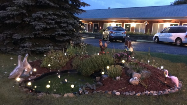 A garden with various plants and decorative lights. - Big Bear Lodge (Alpena)
