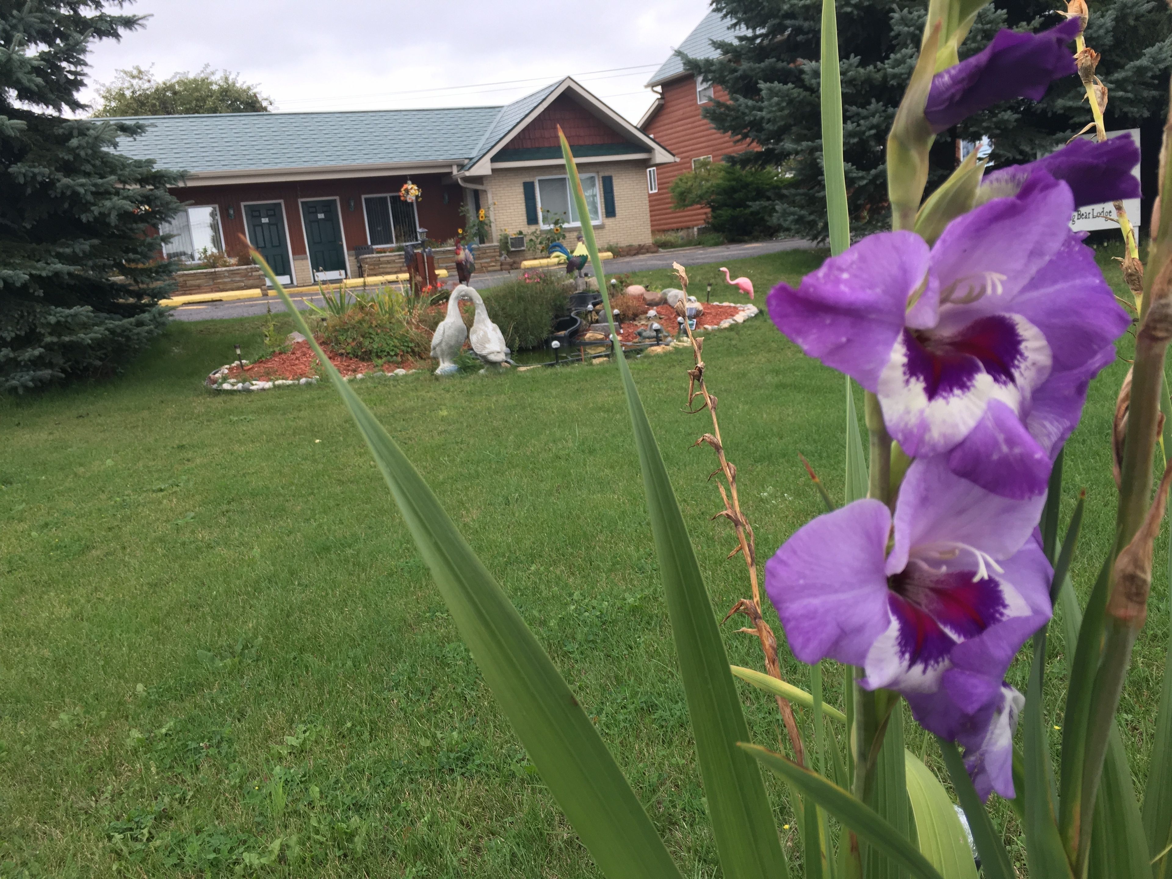 A house with a well-maintained lawn and a garden with flowers and a birdbath.