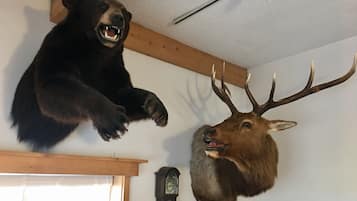 A room with a mounted bear and elk head on the wall, a wooden ceiling, and a clock.