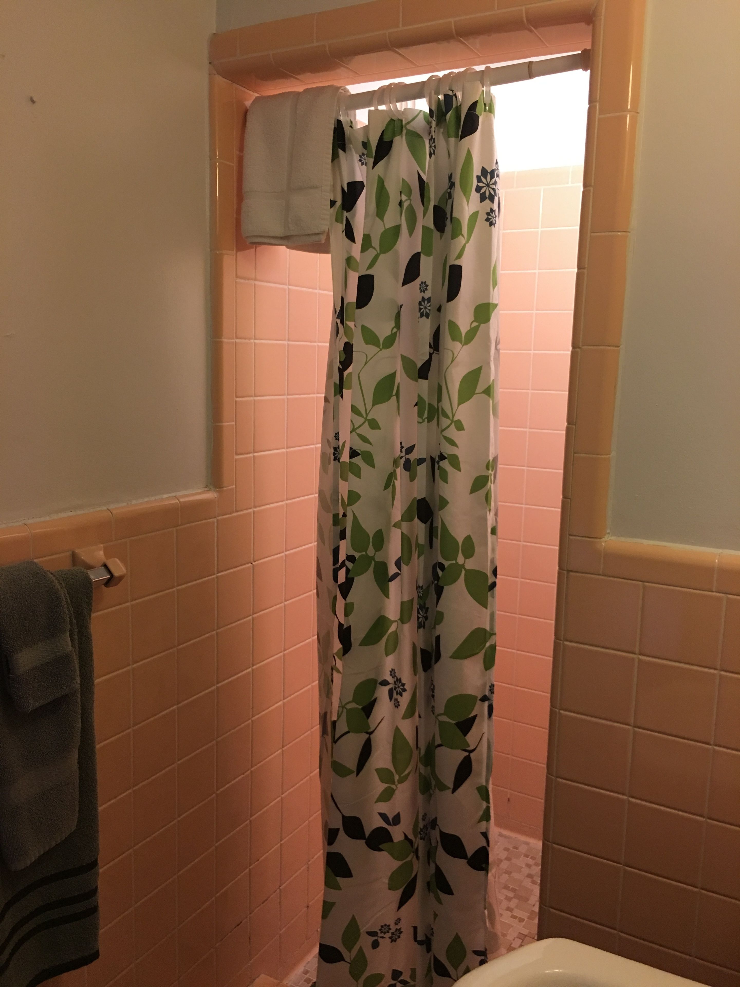 A bathroom with a shower curtain featuring a leaf pattern, a towel rack, and a tiled wall.