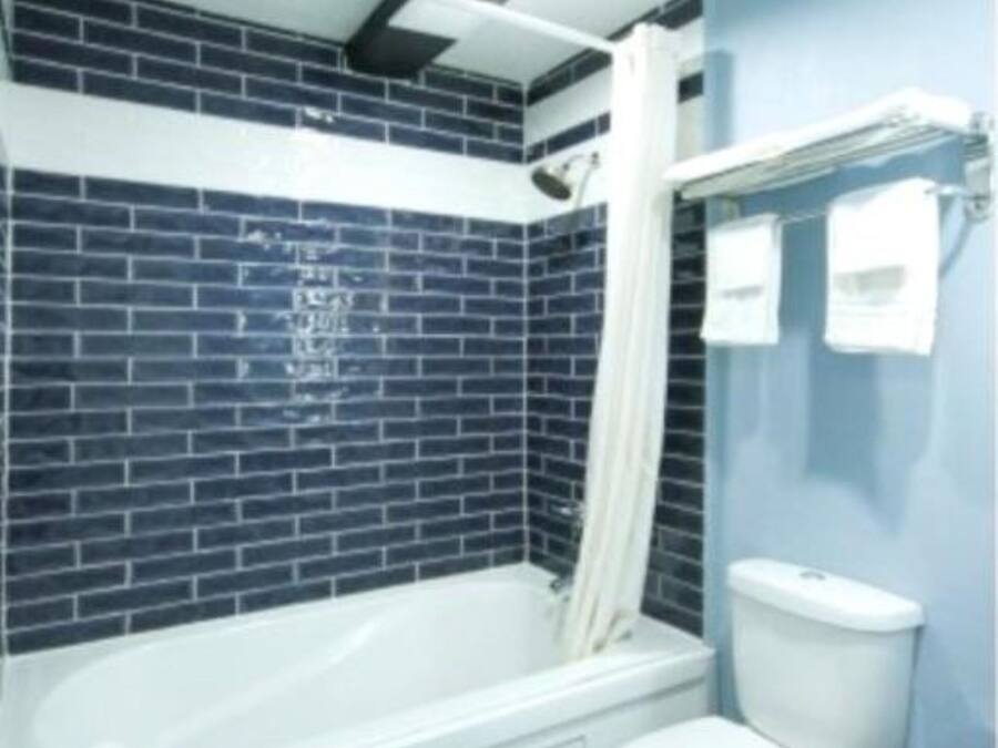 Ducha, artículos de tocador gratuitos, secador de pelo, toallas