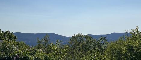 A grassy field with dense shrubbery and distant hills under a clear sky.