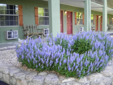 A building with a stone foundation, a porch with a wooden bench, and a garden with purple flowers.