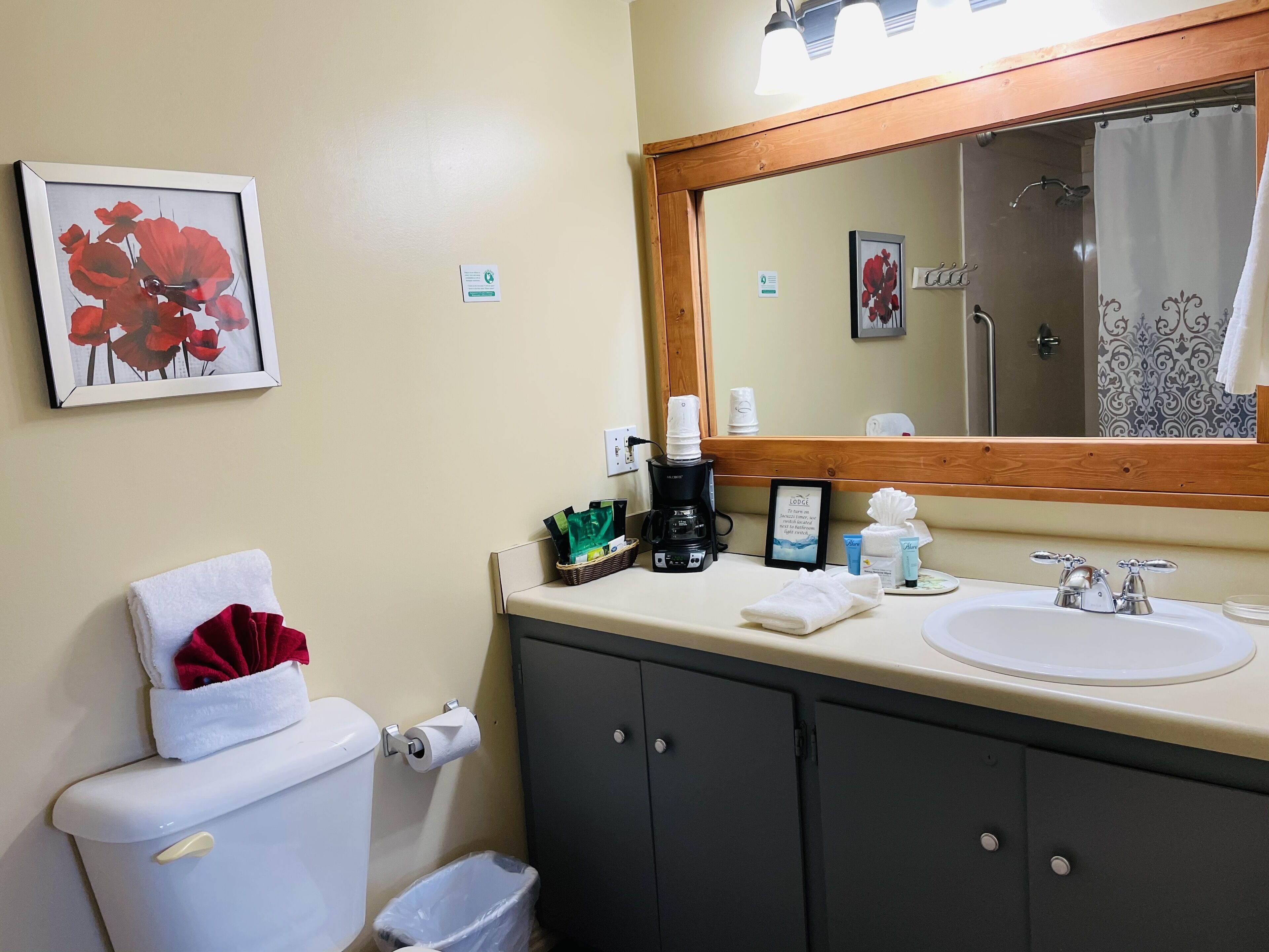 Un bagno con il water, un lavandino e uno specchio. Si nota una cornice con dei fiori rossi appesa al muro, una macchina del caffè e articoli da toilette sul ripiano.