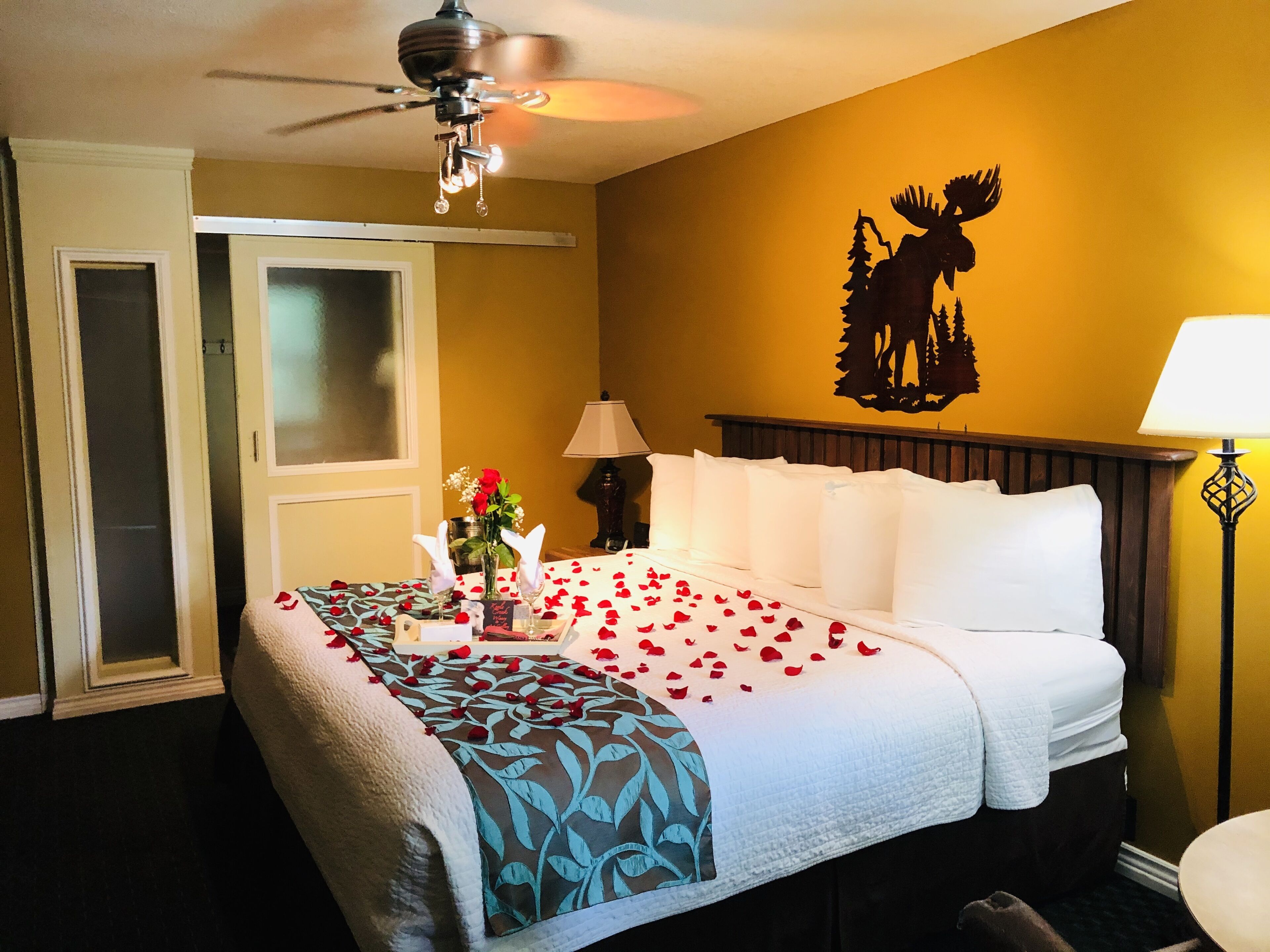 A hotel room with a bed, a ceiling fan, a moose wall decal, a lamp, and a nightstand.