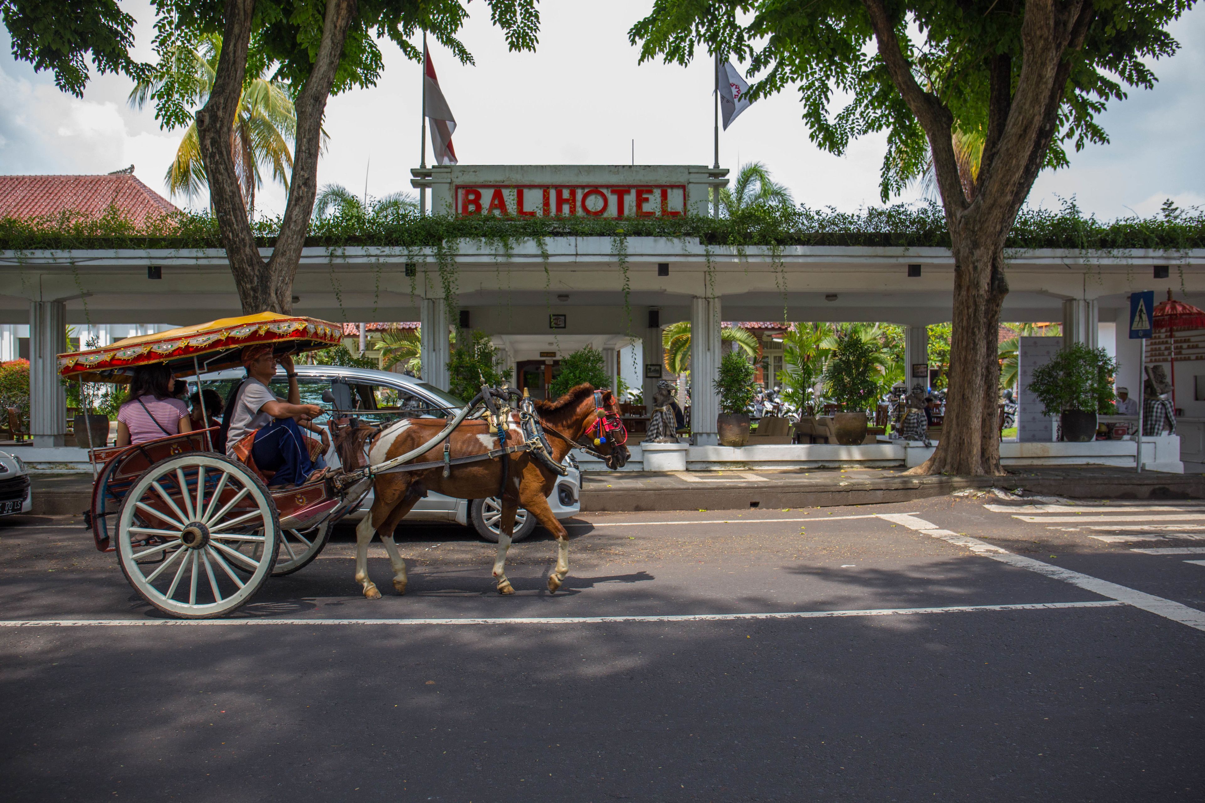 A horse-drawn carriage in front of a building with a sign reading "BALIHOTEL".