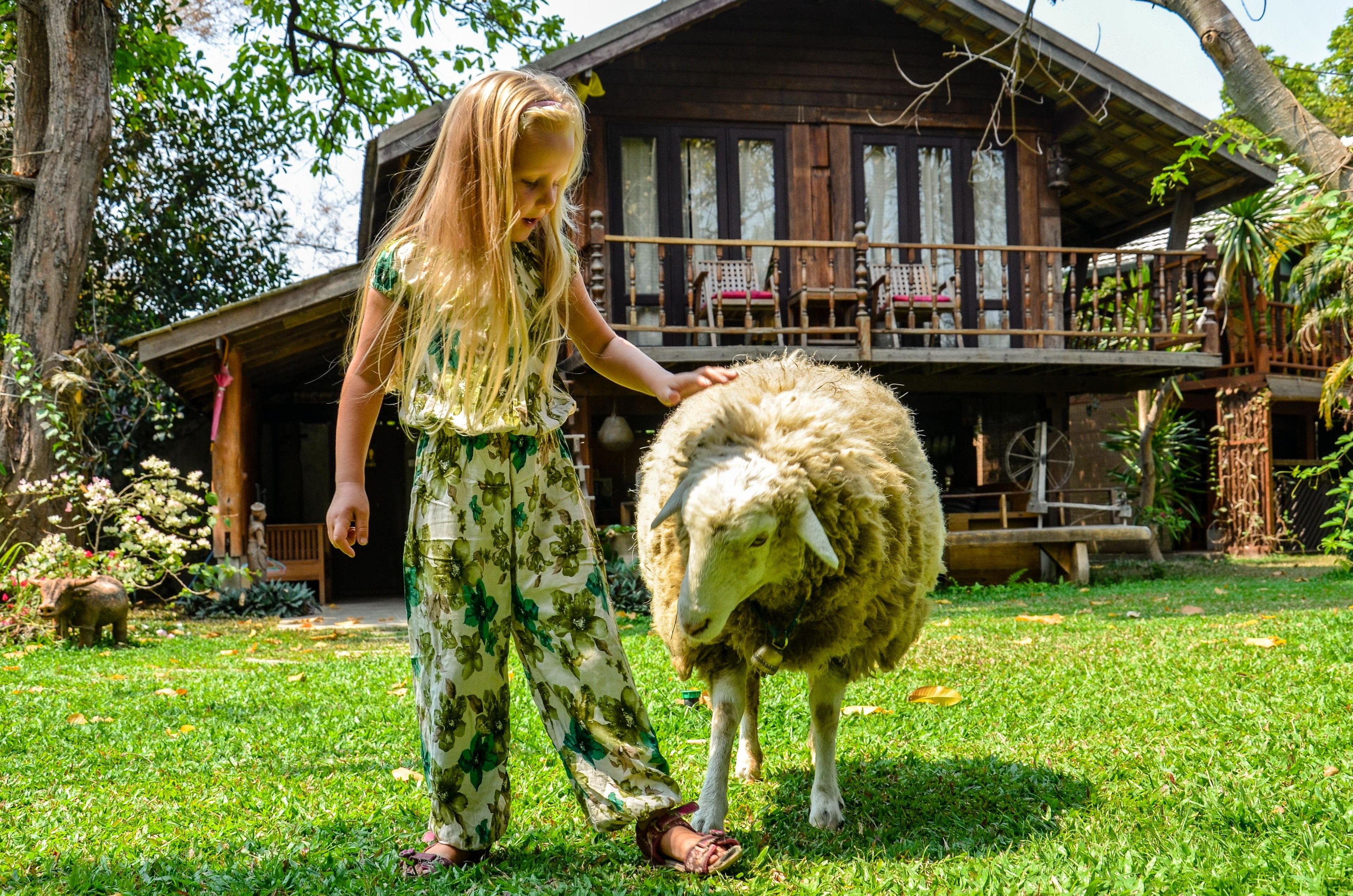 Foto - Rice Barn And Rooms