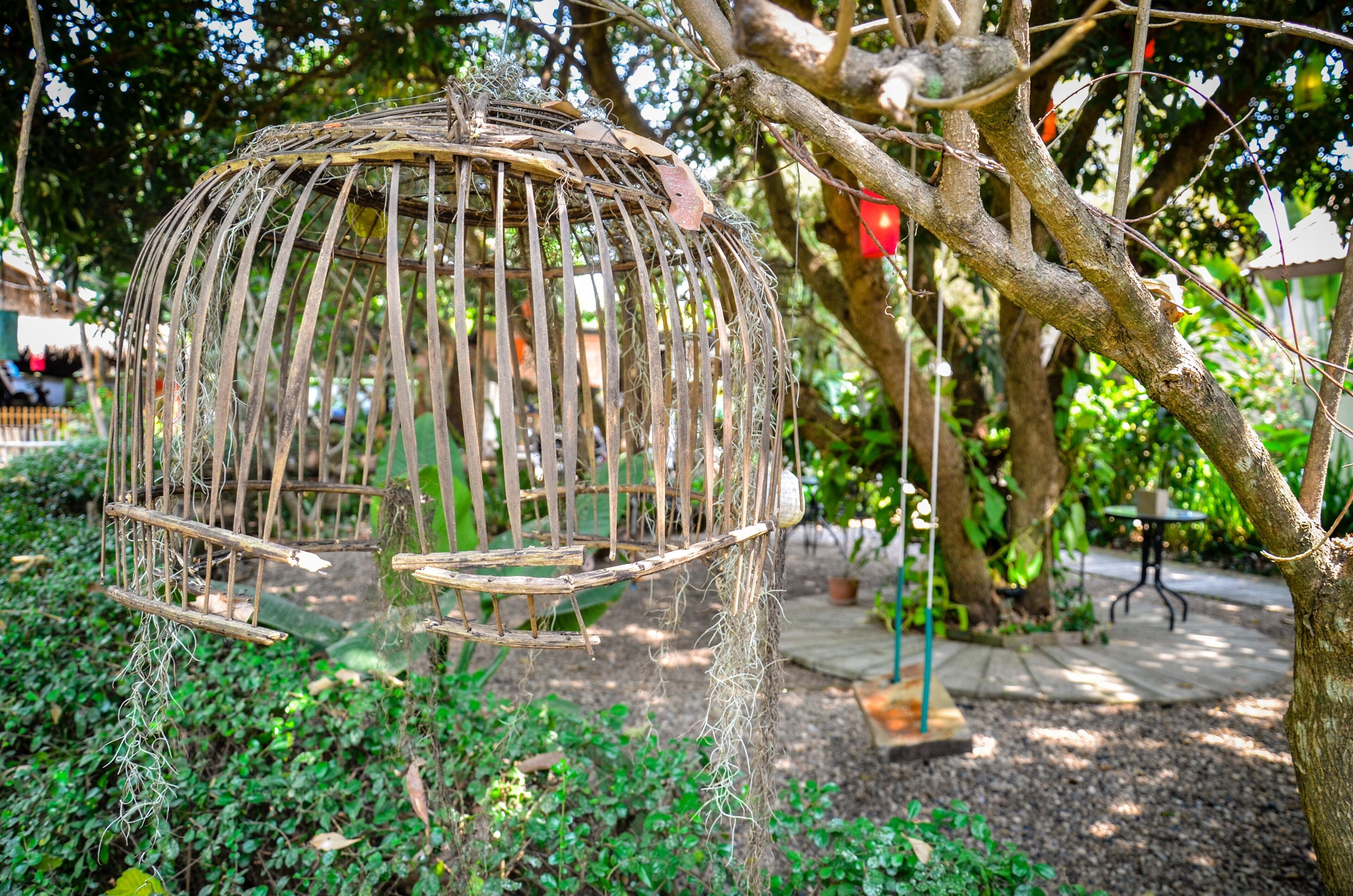 Une cage à oiseaux suspendue à une branche d’arbre, dans un jardin.