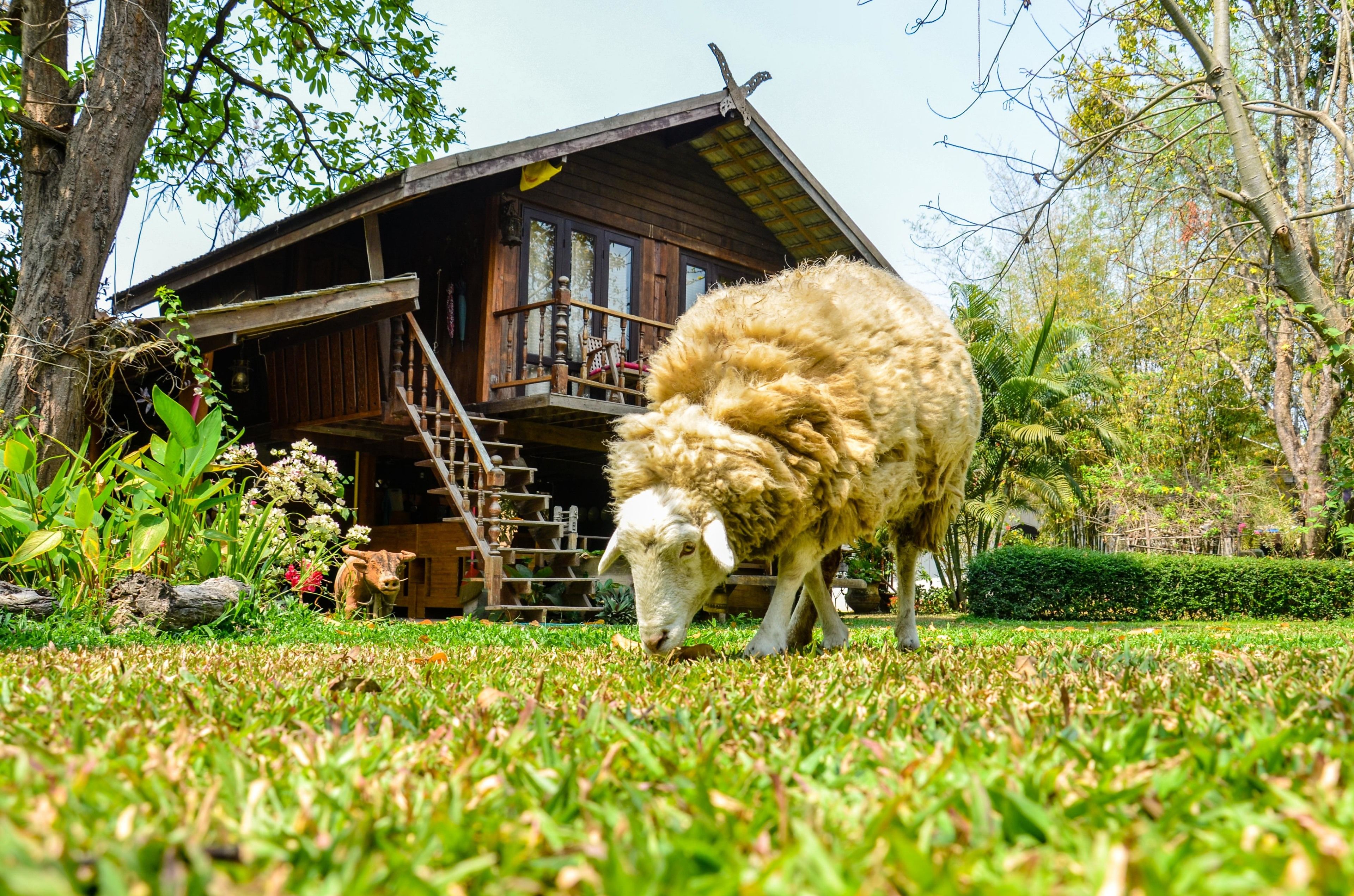 Foto - Rice Barn And Rooms