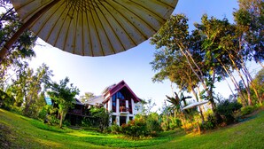 Een huis met een grote parasol op de voorgrond, omringd door weelderige begroeiing en bomen.