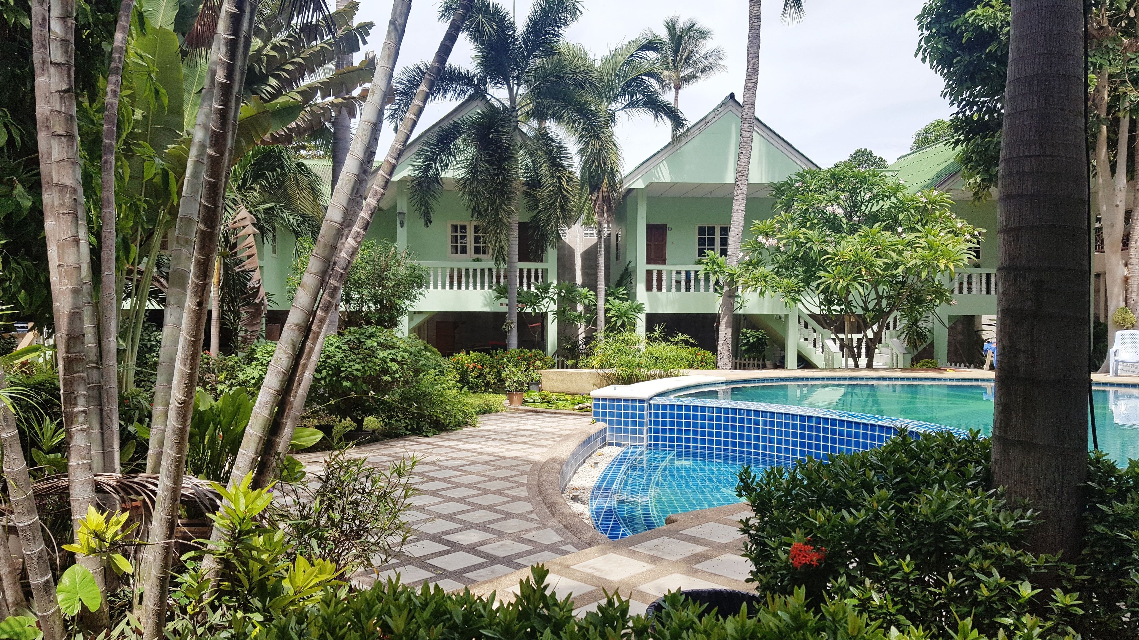 A pool area with a tiled edge, surrounded by lush greenery and palm trees.