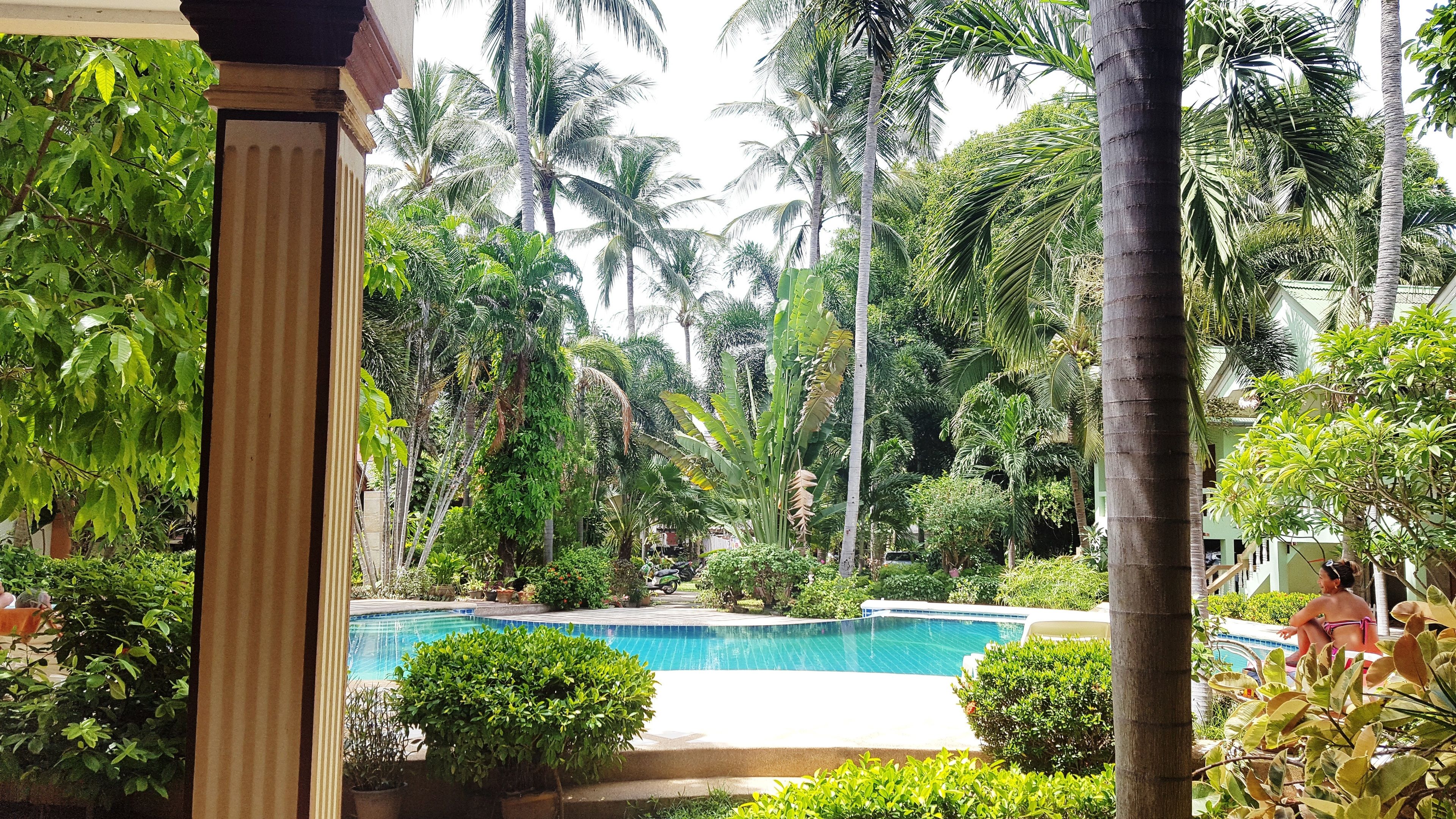 Outdoor pool, pool loungers