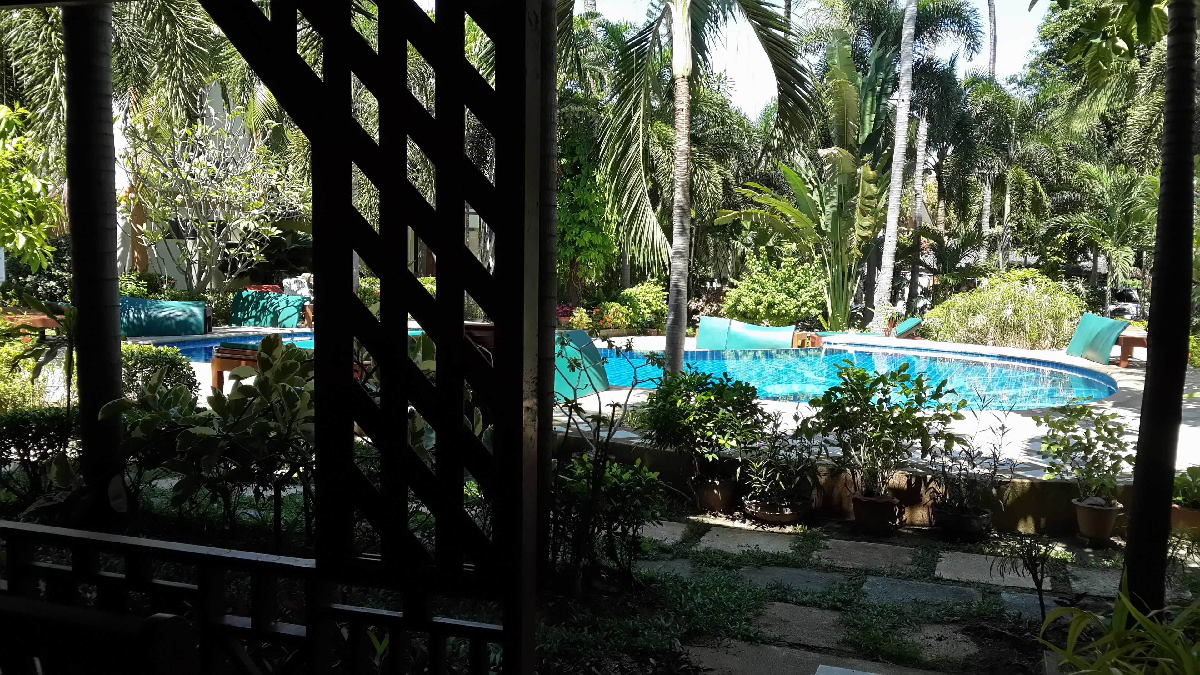 Zona de piscina con vista despejada al agua, rodeada de abundante vegetación y palmeras.