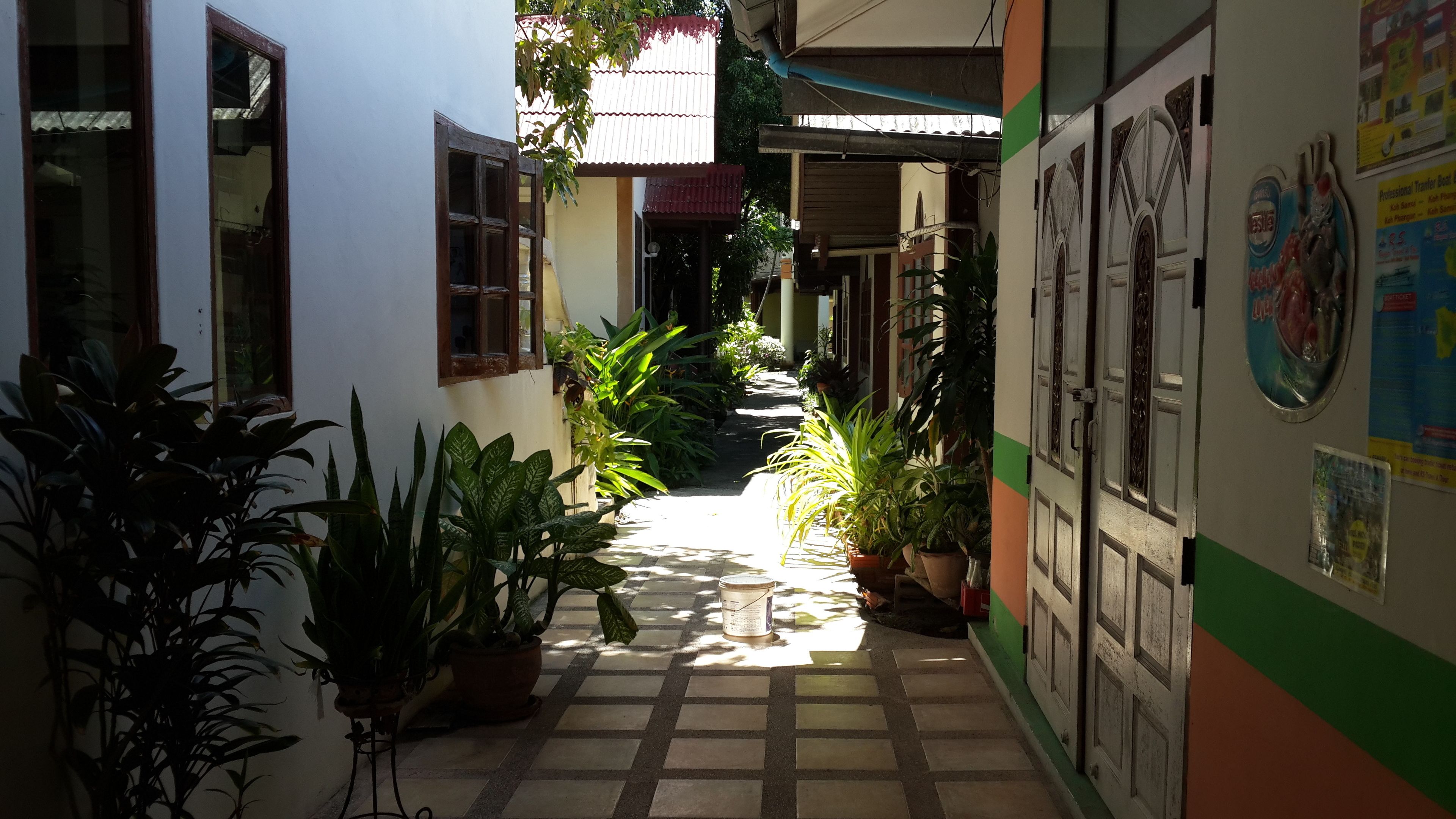 Un couloir étroit orné de plantes en pot, doté d’un sol carrelé et d’une porte sur laquelle est affichée une affiche.