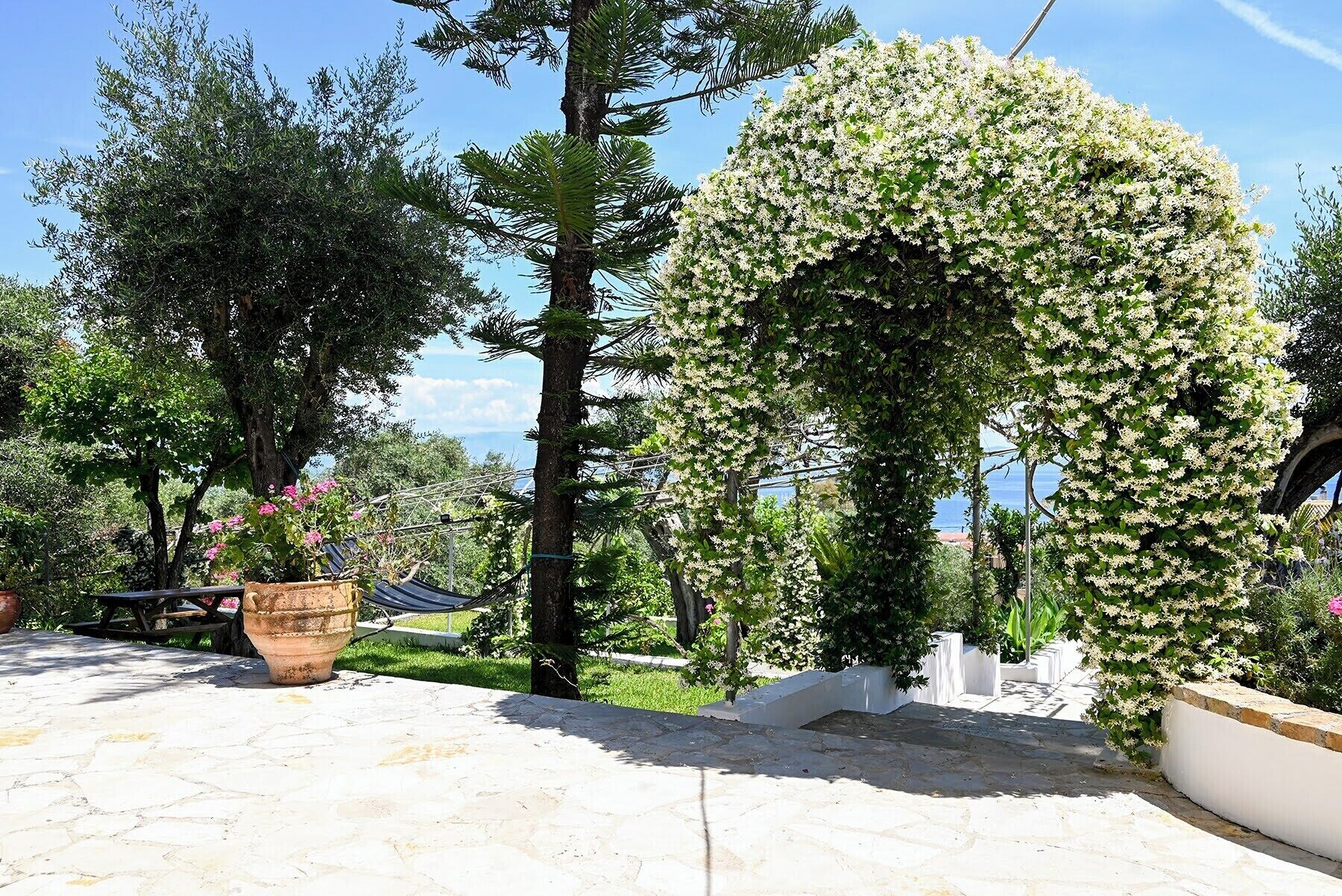 Photo - Gina Studios