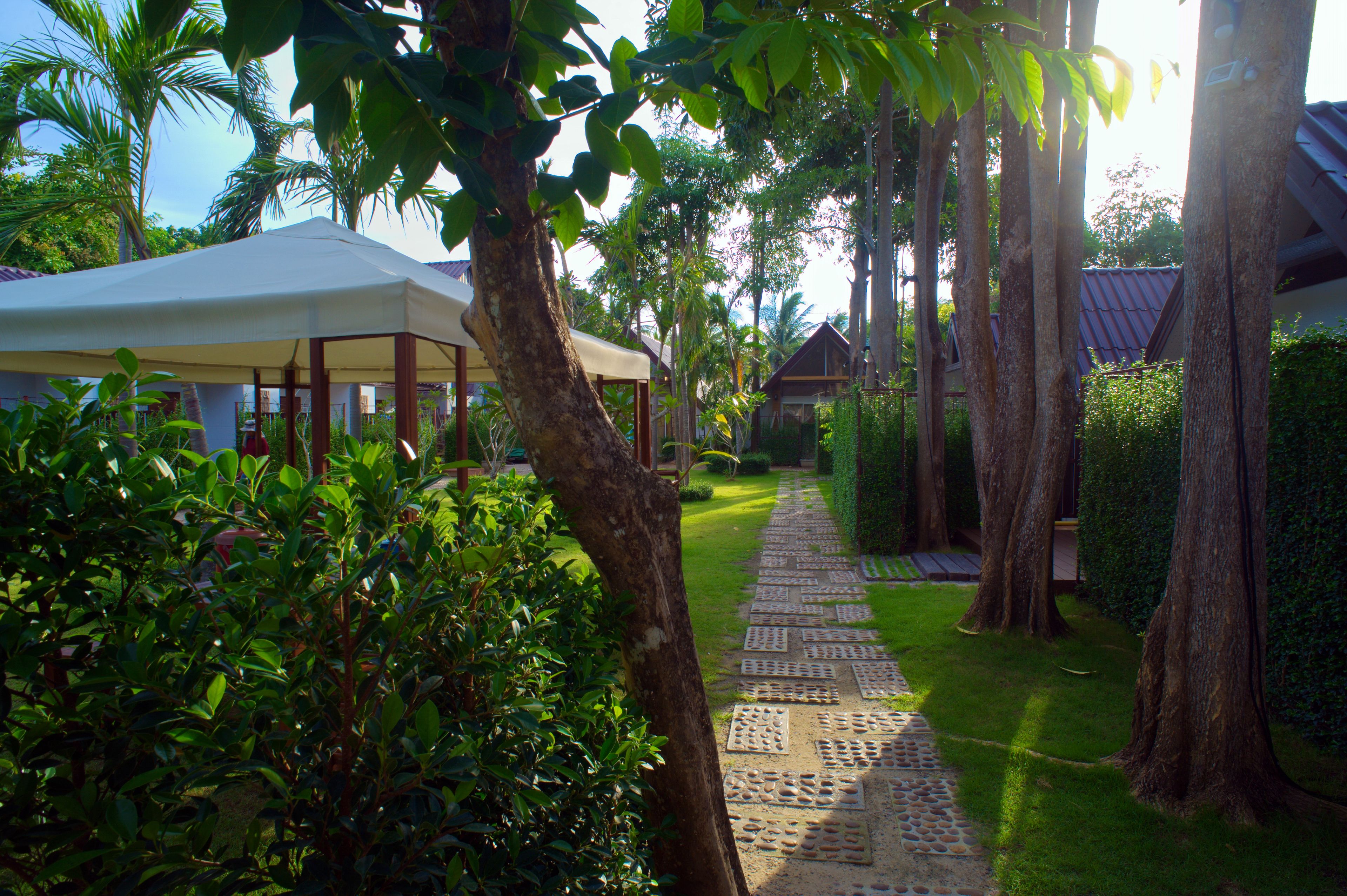 Foto - At Samui Haus