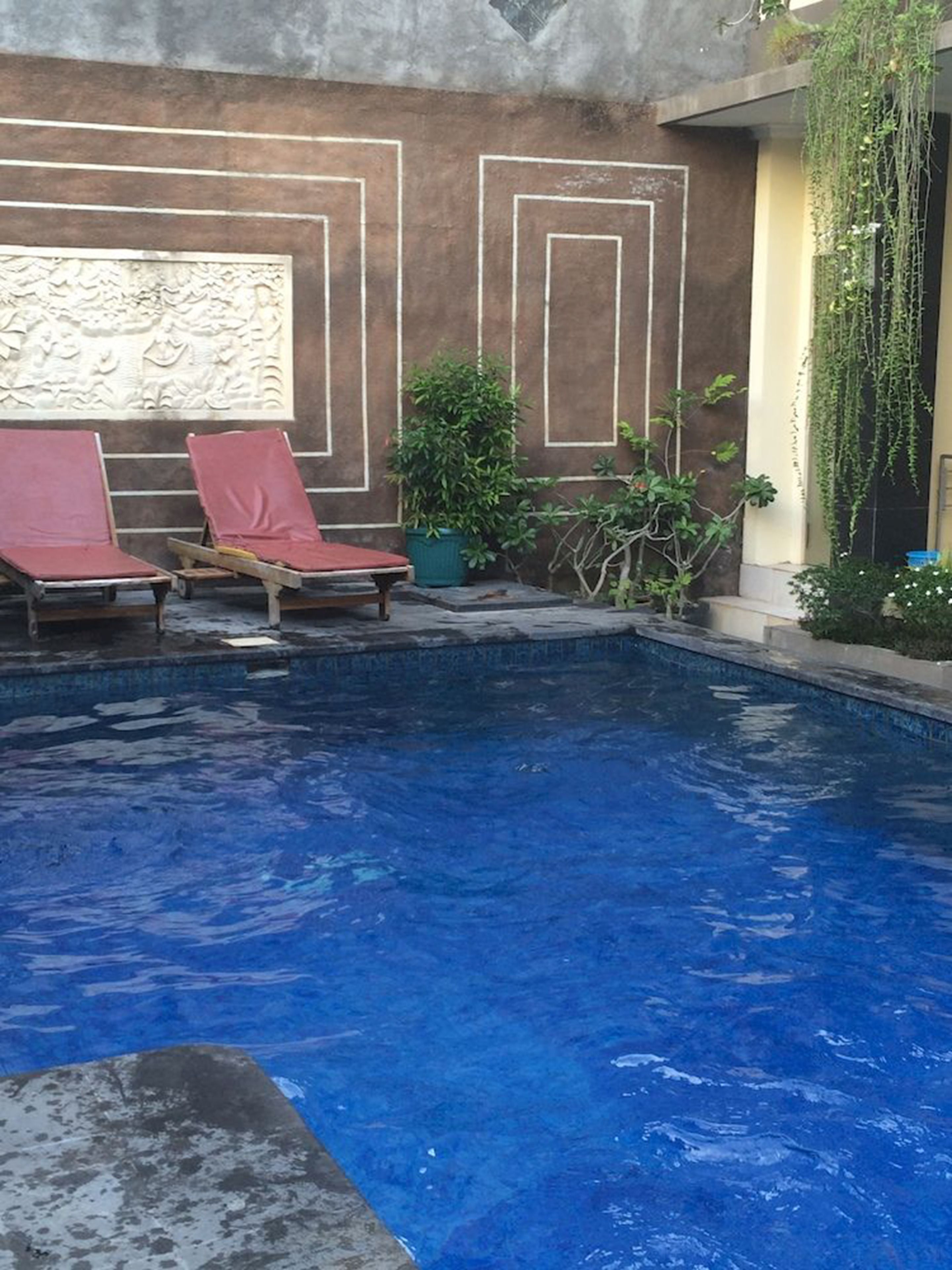 A swimming pool with two red lounge chairs and a potted plant.