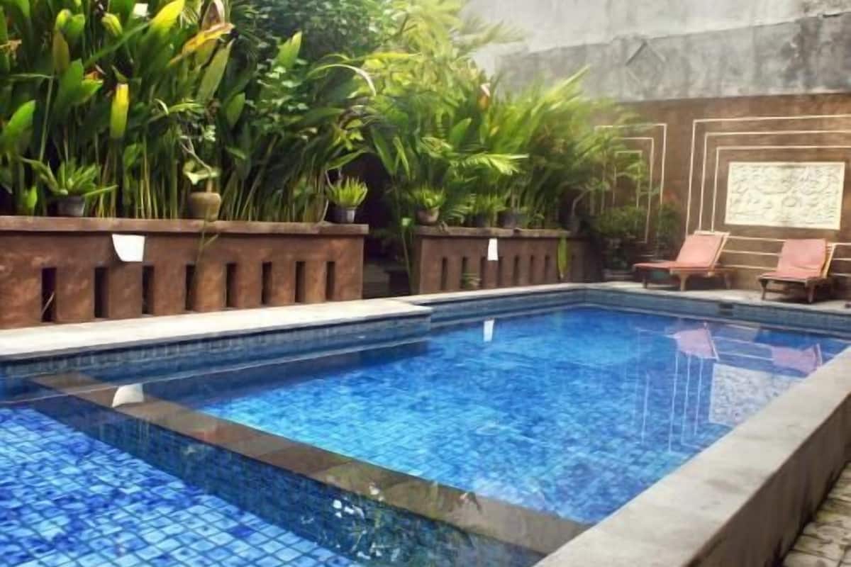 A rectangular swimming pool with clear blue water, surrounded by potted plants and a tiled deck.