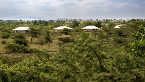Un lodge safari con diverse tende, circondato da una fitta vegetazione e una catena montuosa in lontananza.