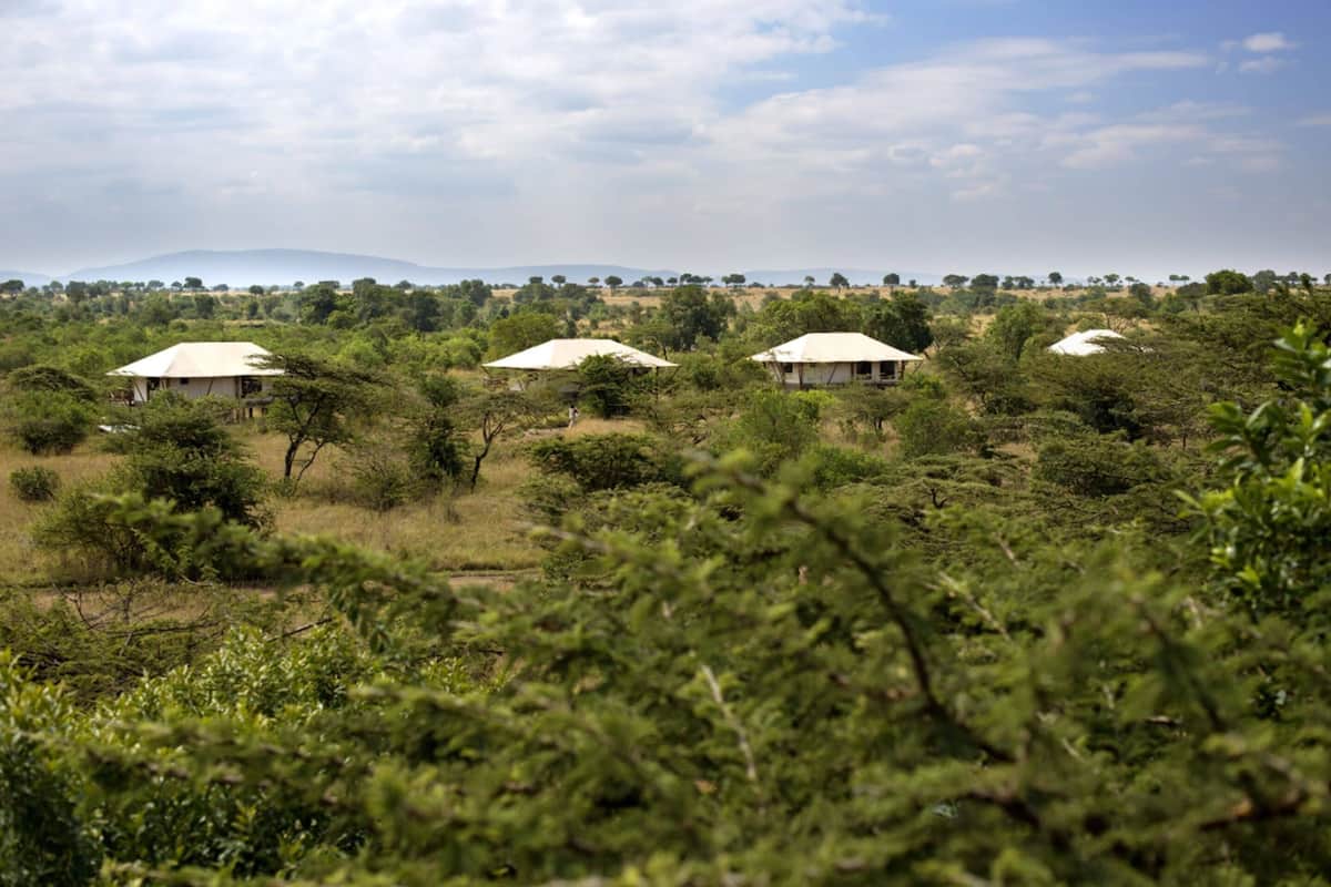 A landscape with three tents in a natural setting, surrounded by trees and vegetation.