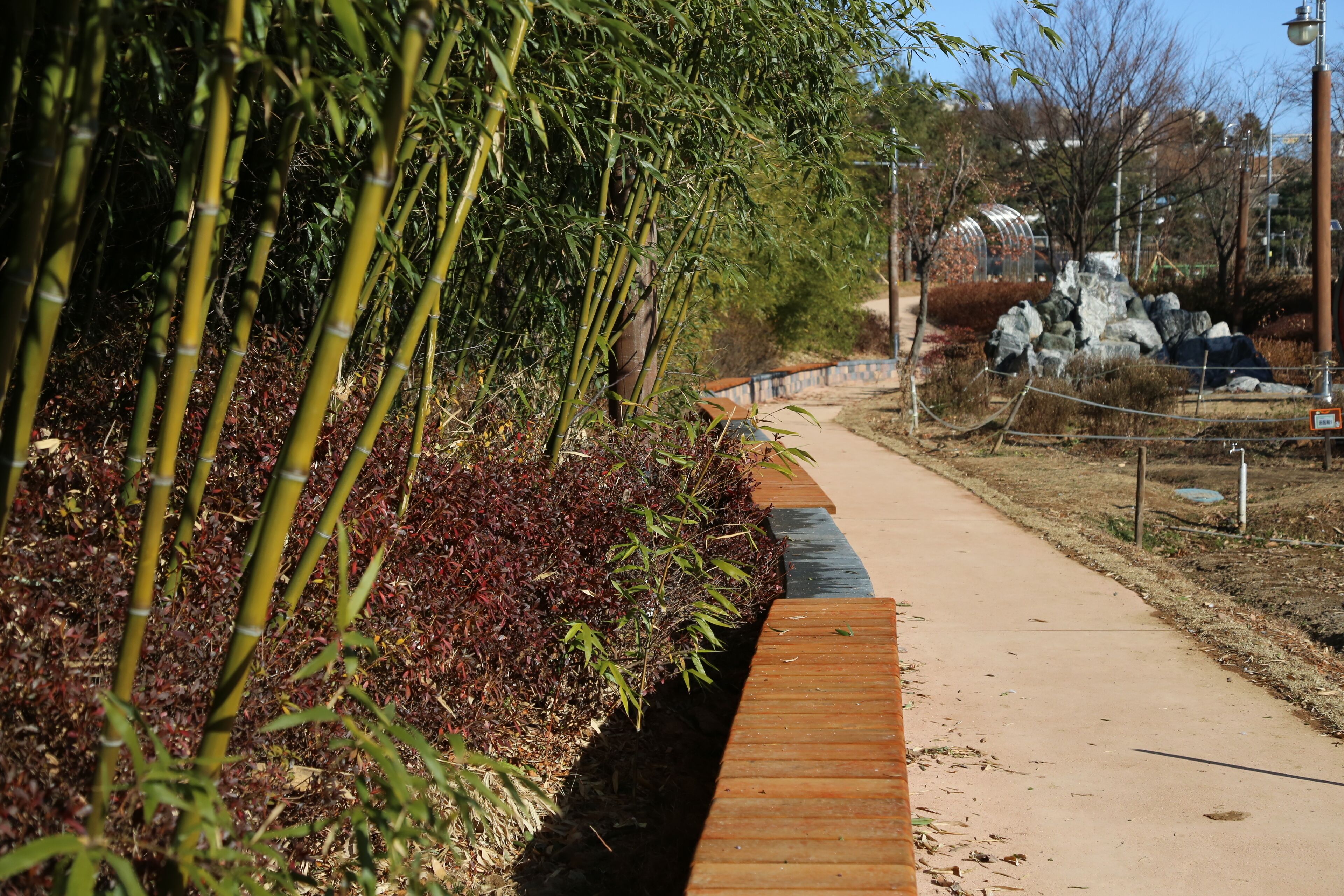 A pathway flanked by bamboo and red-leafed plants, leading to a stone structure.