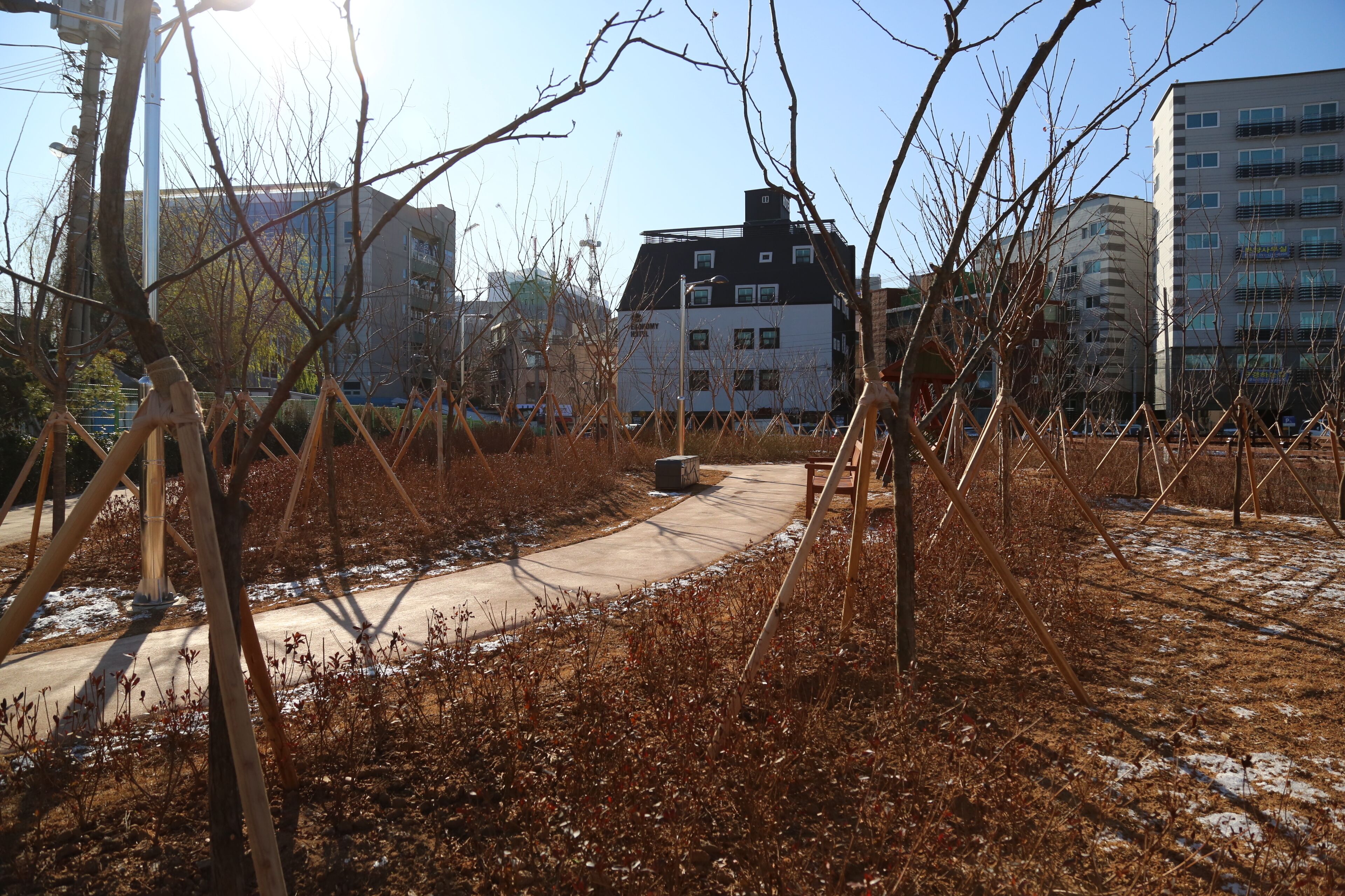 Ein Weg in einem Park mit kahl stehenden Bäumen und Gebäuden im Hintergrund.