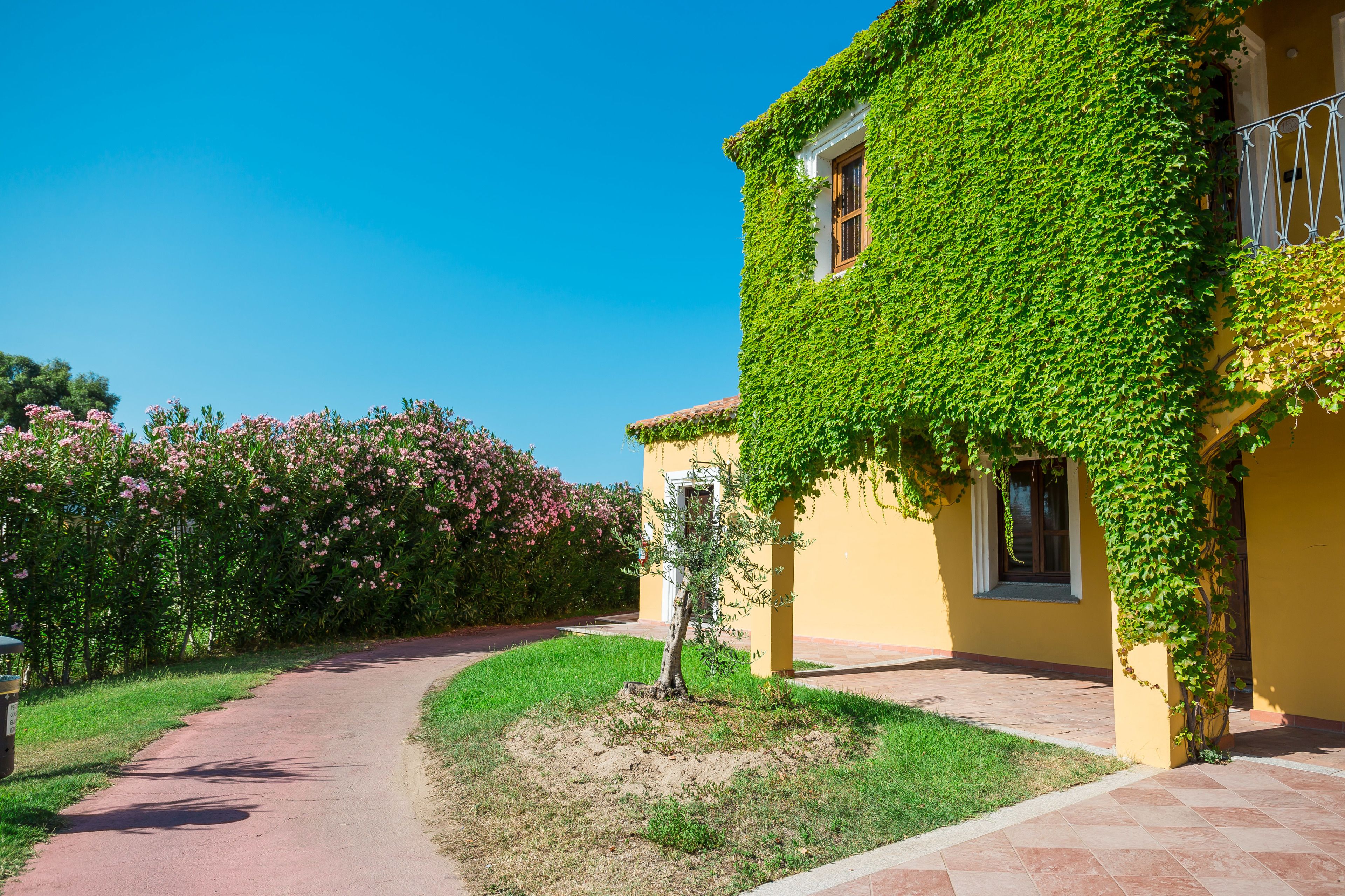 A yellow building with a garden path leading to a door.