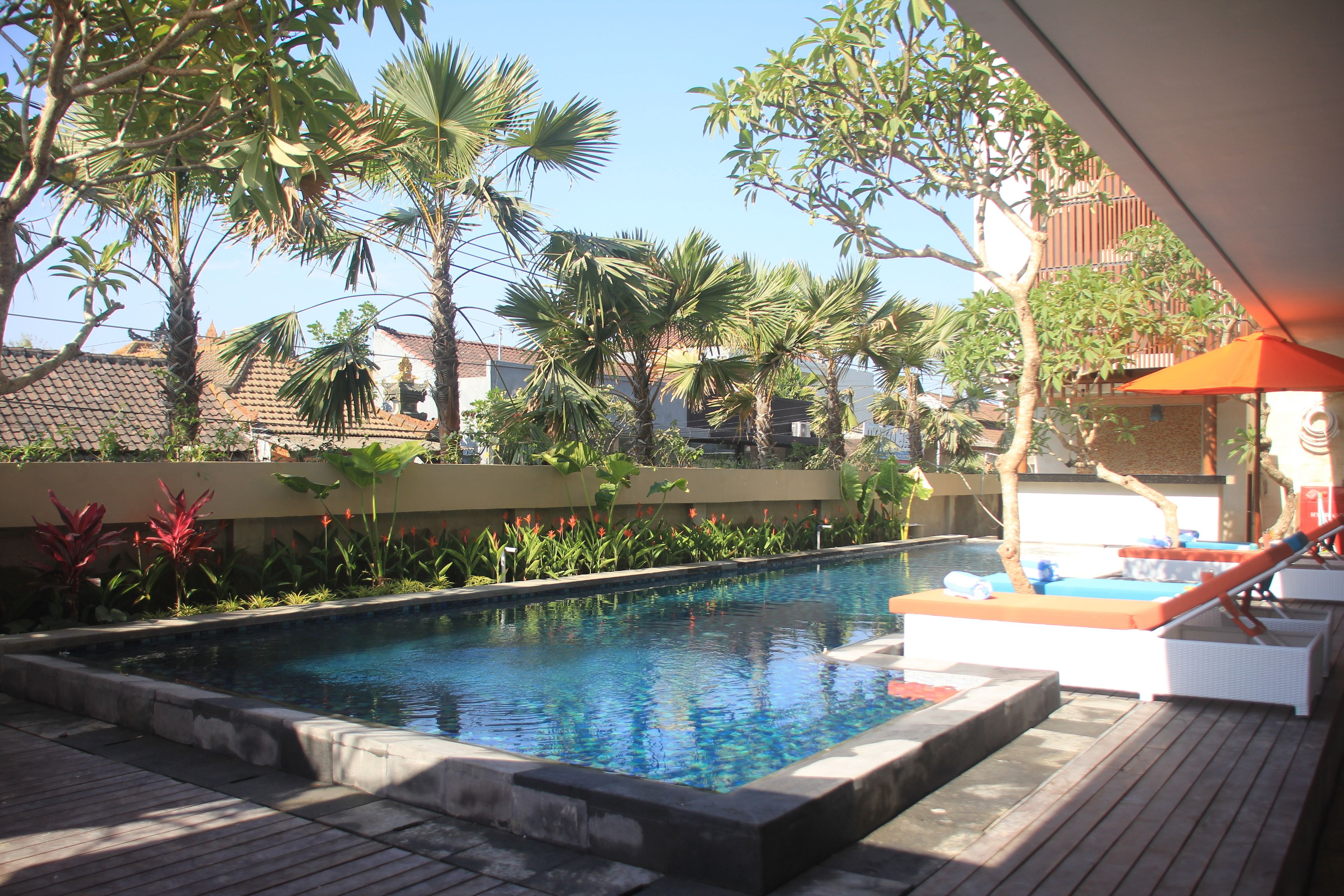 Outdoor pool, open 8:00 AM to 8:00 PM, sun loungers