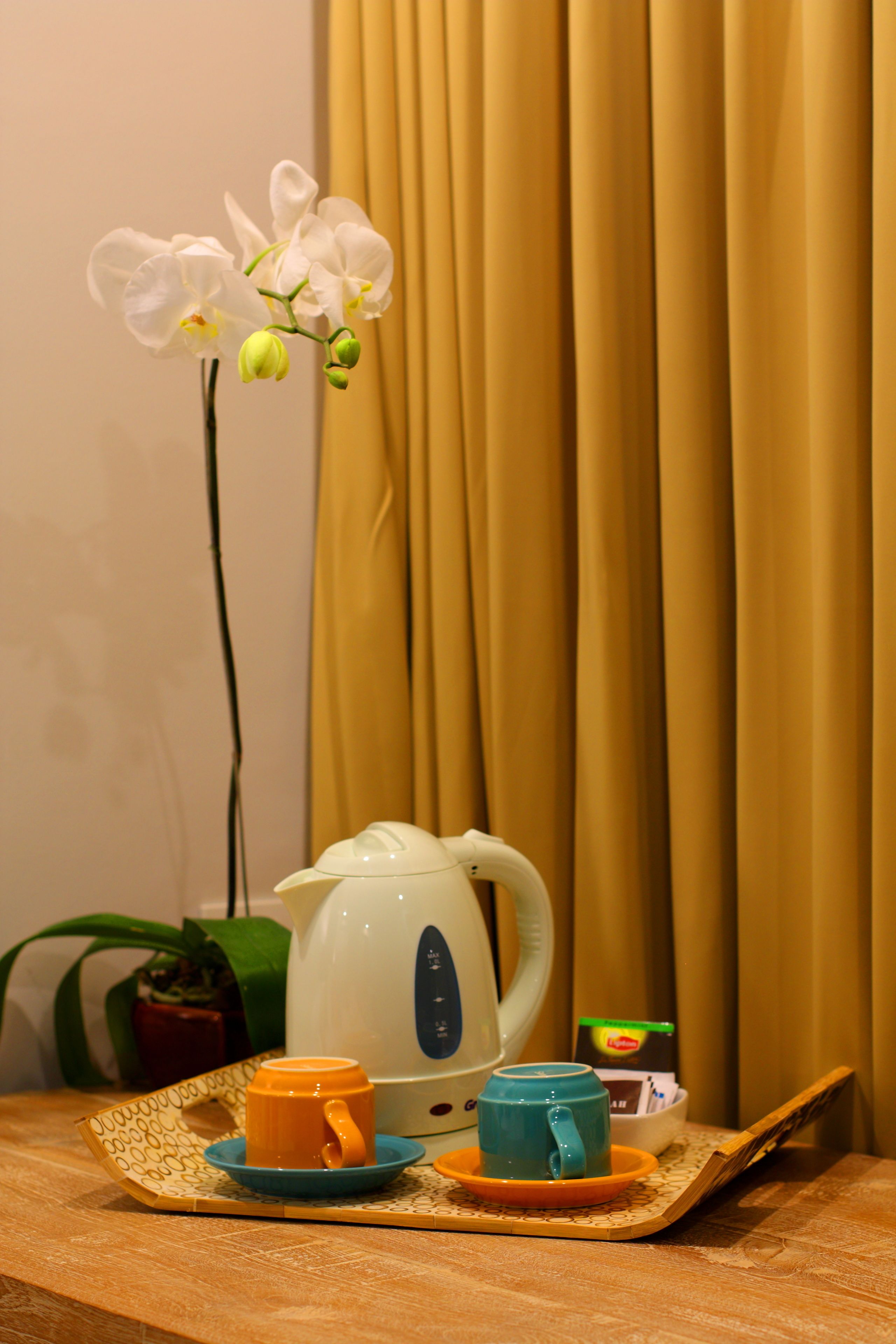 A tray with two cups, a teapot, and a small plant on a wooden table.