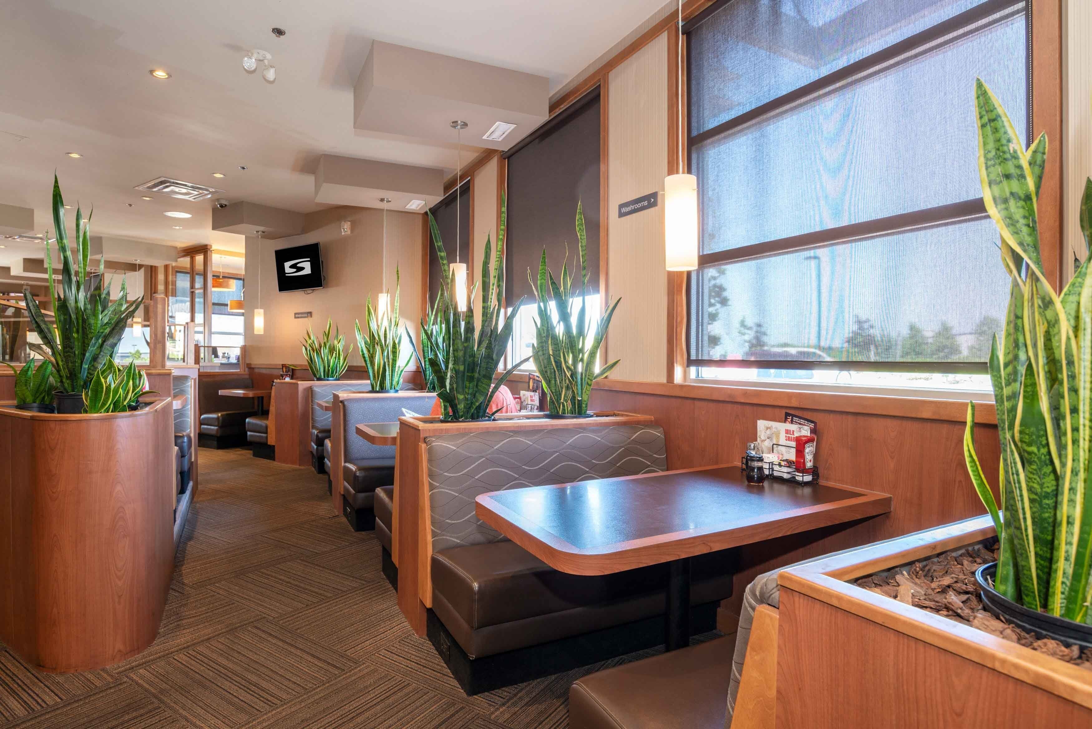 Un restaurante con asientos tipo cabina, detalles de madera y plantas en macetas.