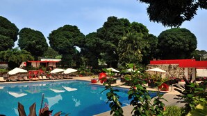 Una piscina circondata da lettini e ombrelloni, con un lussureggiante sfondo verde.