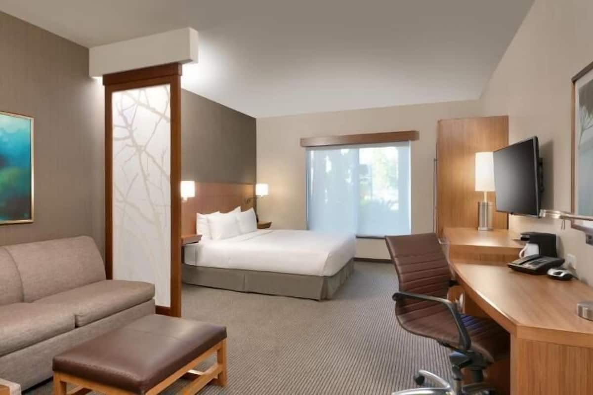 A hotel room with a bed, a sofa, a desk, a television, and a painting.