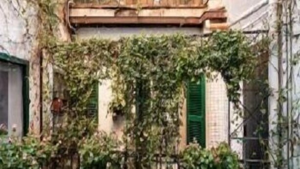 Un callejón estrecho con una valla metálica, un pequeño balcón y un edificio con una puerta verde.