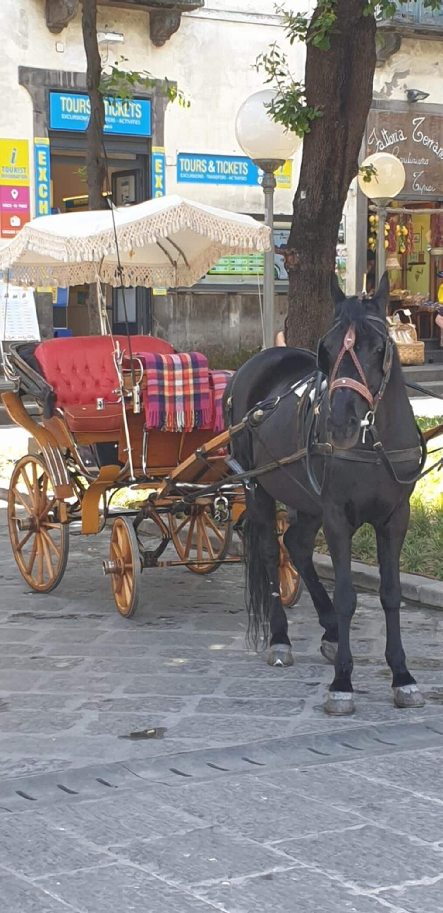 Photo - Maison D'Art