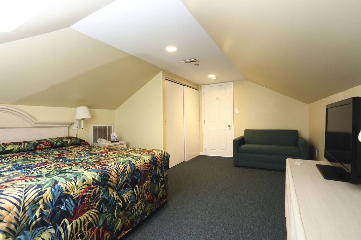 A hotel room with a bed, a sofa, a TV, and a door.