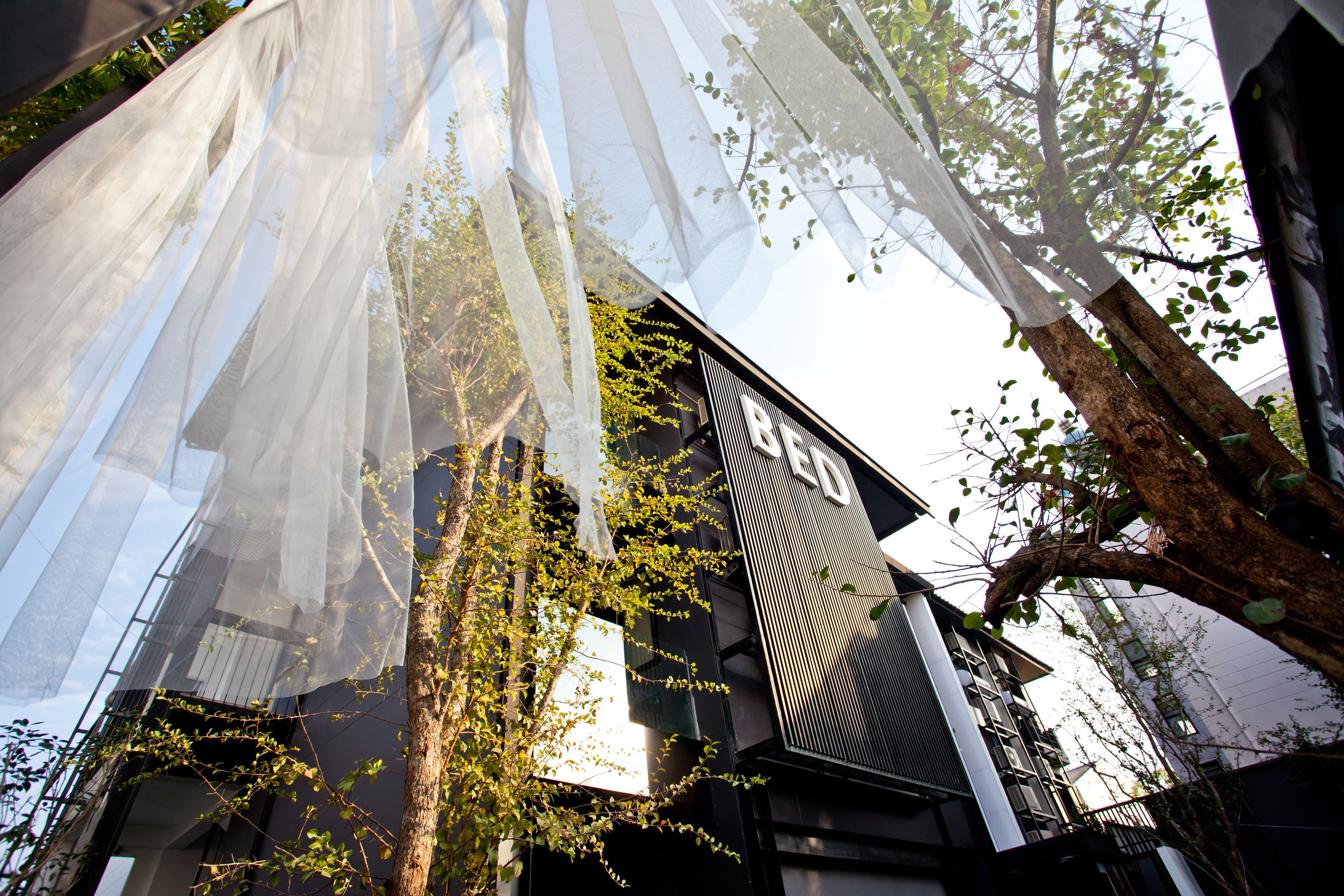 Foto - BED Phrasingh-Adults Only