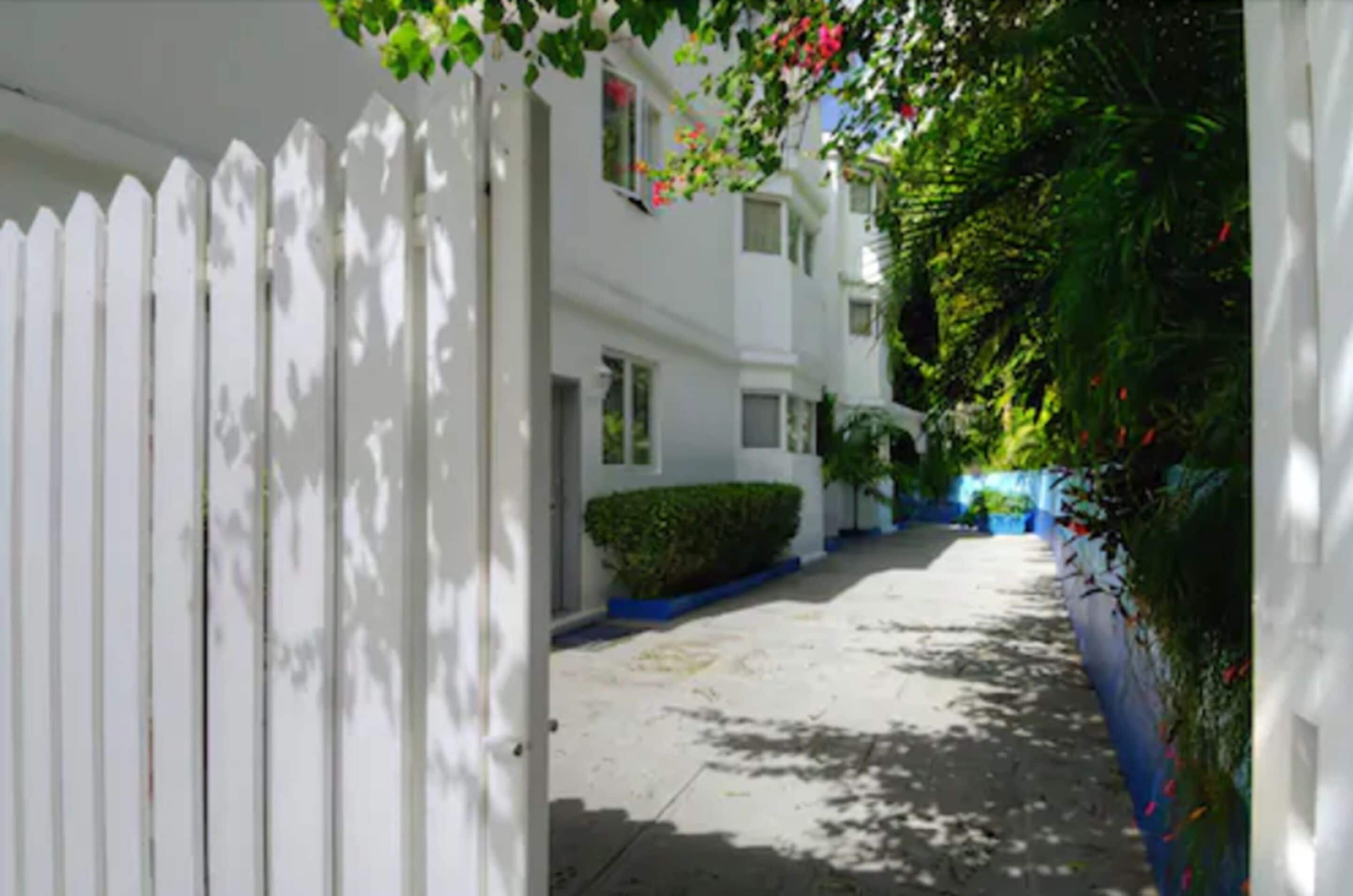 A narrow residential street with white fences, a hedge, and a blue wall.