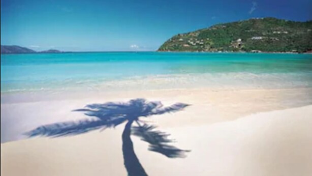 A beach with clear turquoise water and a palm tree silhouette. - The Lighthouse Villas (Cane Garden Bay)