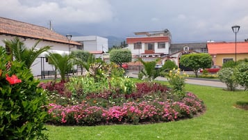 Giardino
