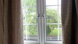 Una ventana con vistas a un paisaje verde y una carretera.