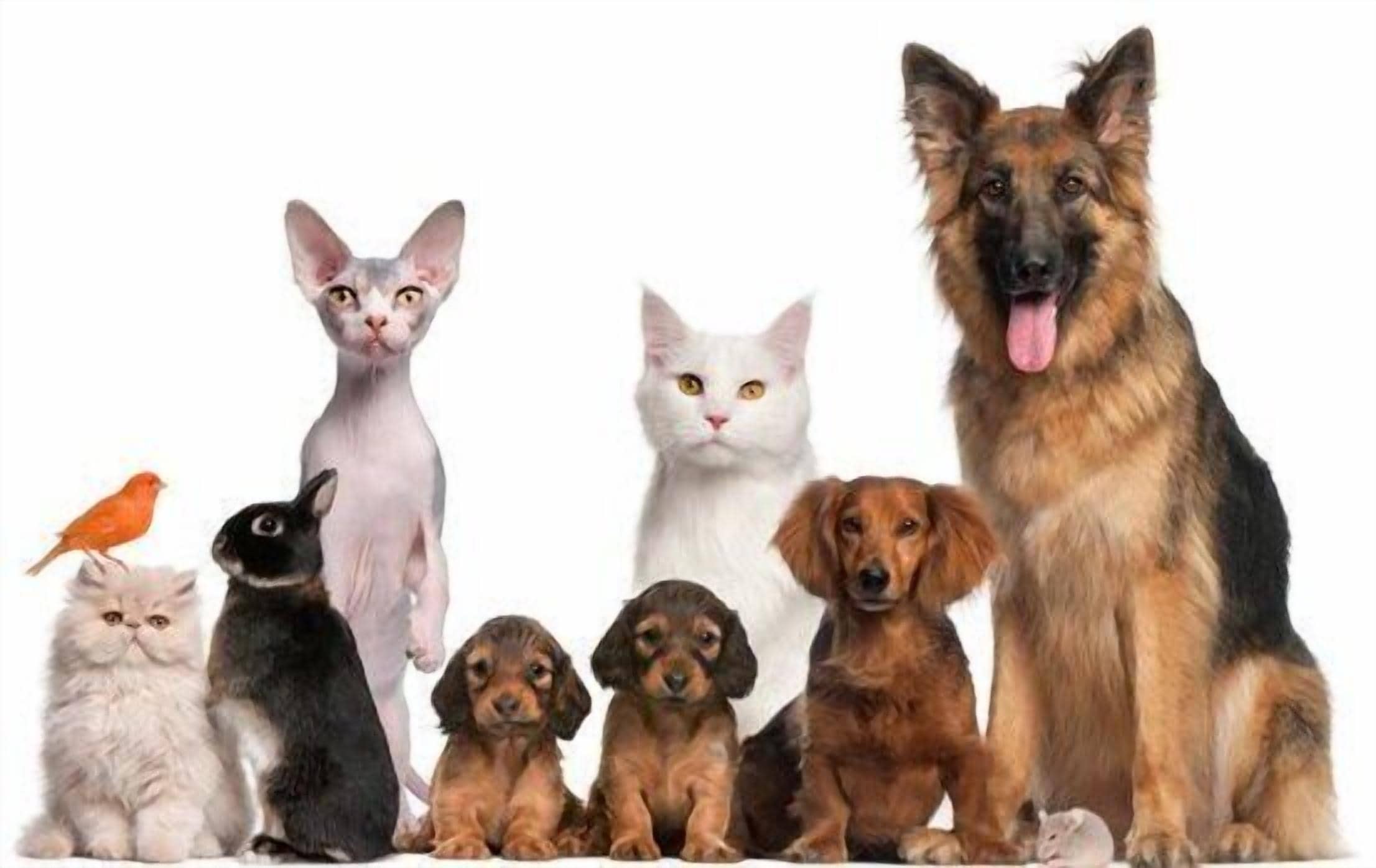 Foto - Villa Louvre Lens