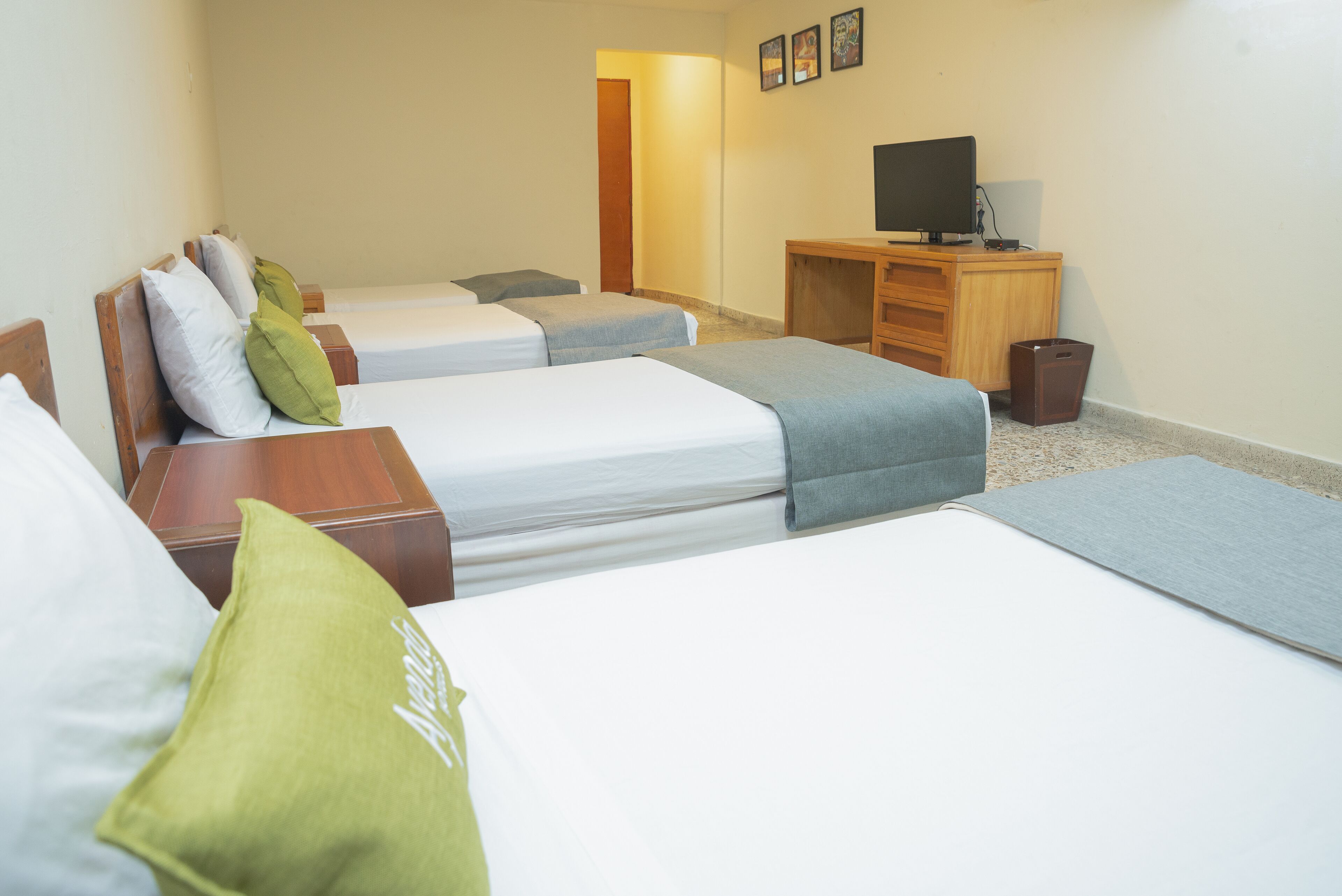 Photo - Ayenda 1313 Barahona 72