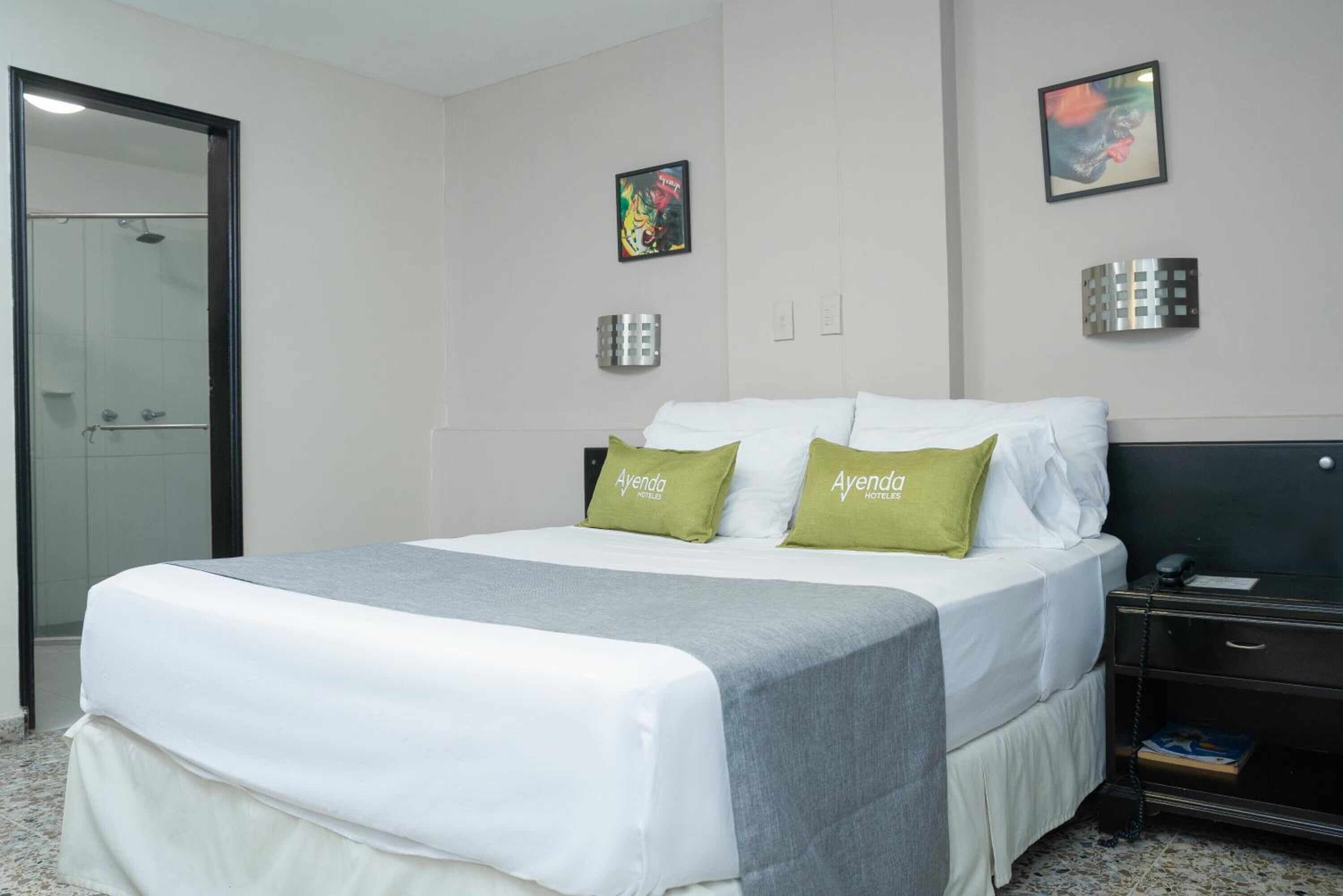 Photo - Ayenda 1313 Barahona 72