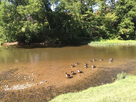 Pigeon River Inn - Image 46