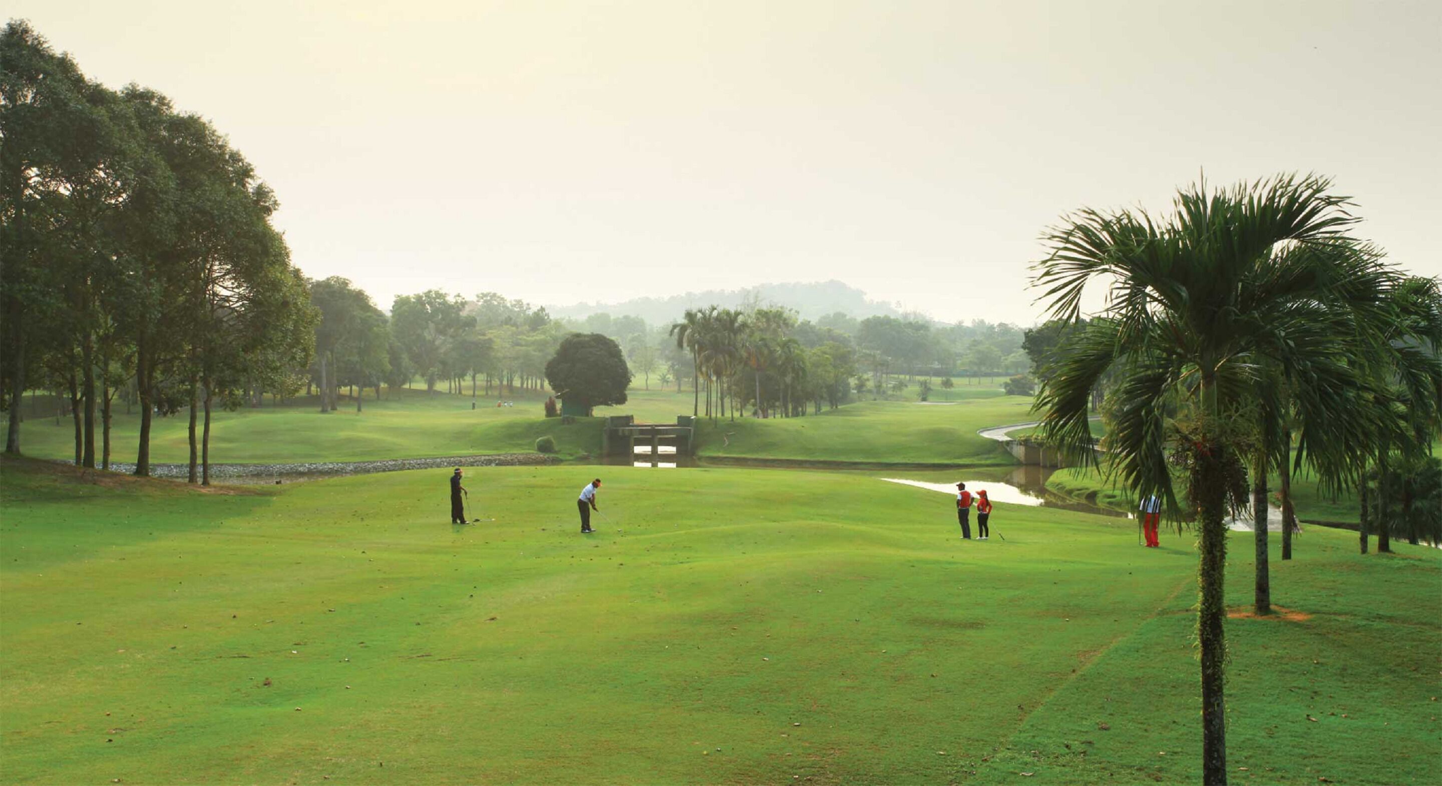 A golf course with a pond, palm trees, and a bridge.