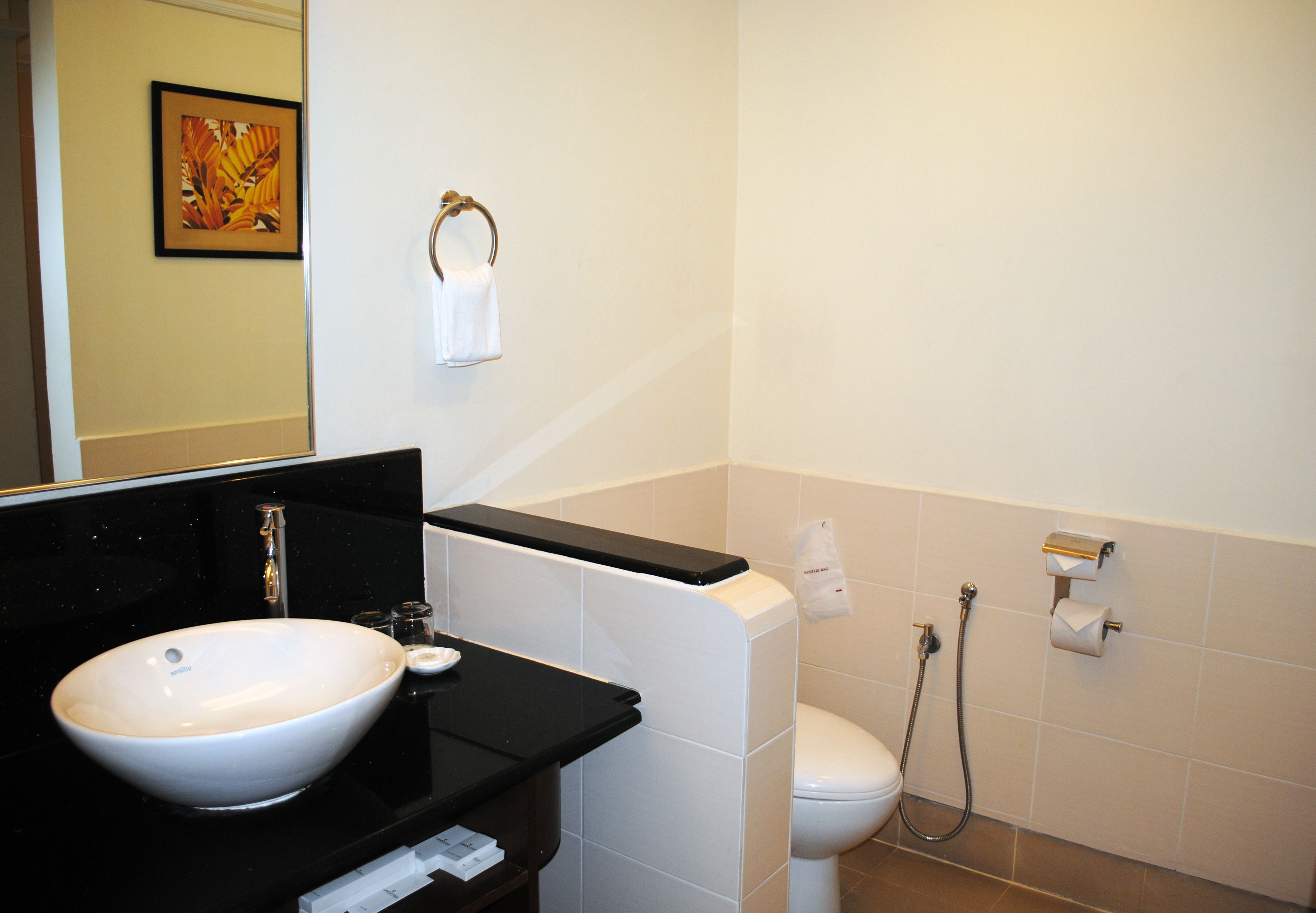 A bathroom with a white sink, black countertop, white toilet, and a shower.