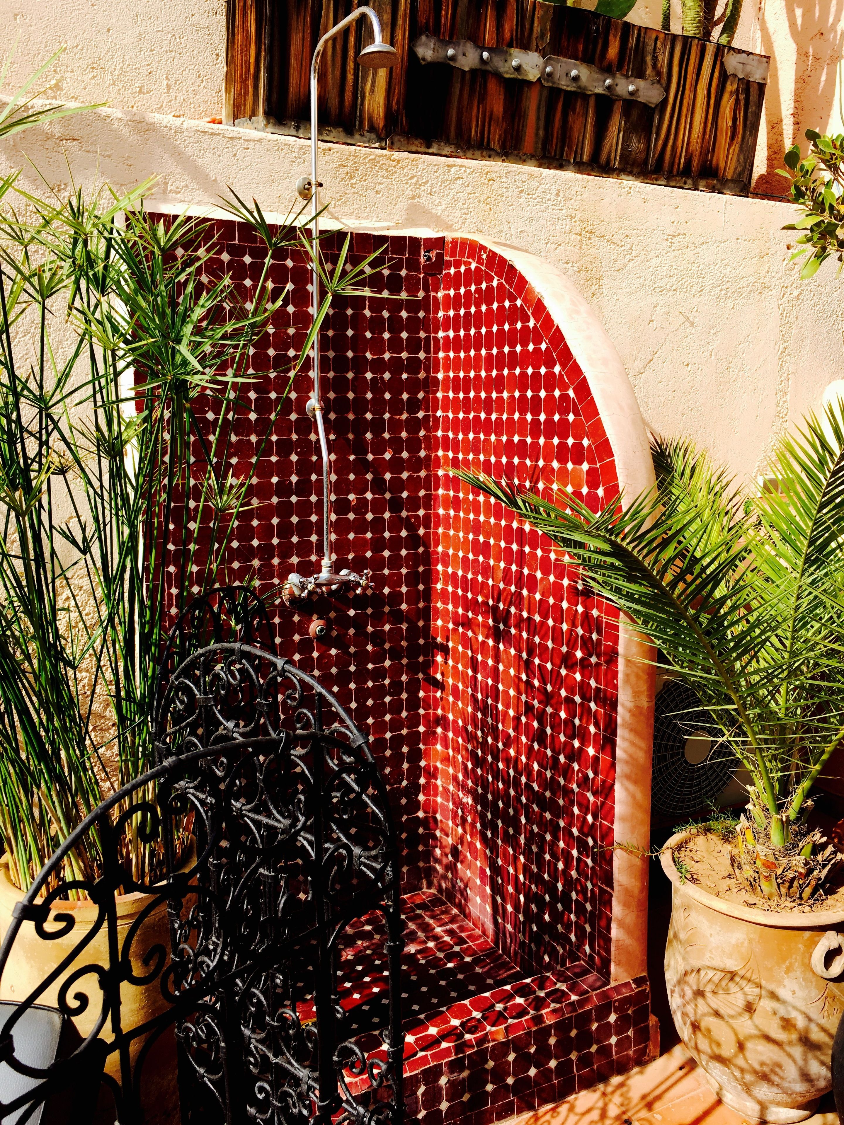 A bathroom with a red mosaic wall, a shower, and potted plants.